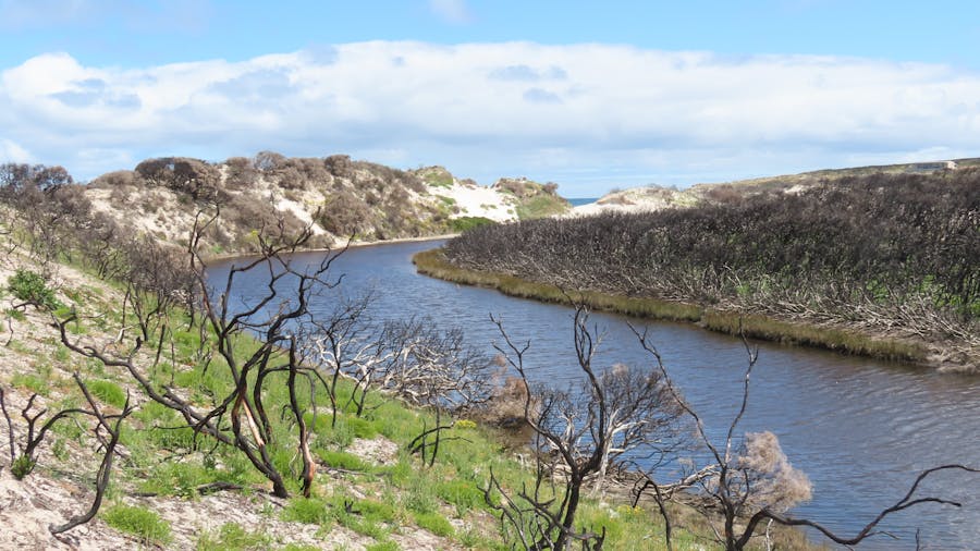 Western KI Caravan Park Wildlife Reserve KI Wilderness Trail Experience