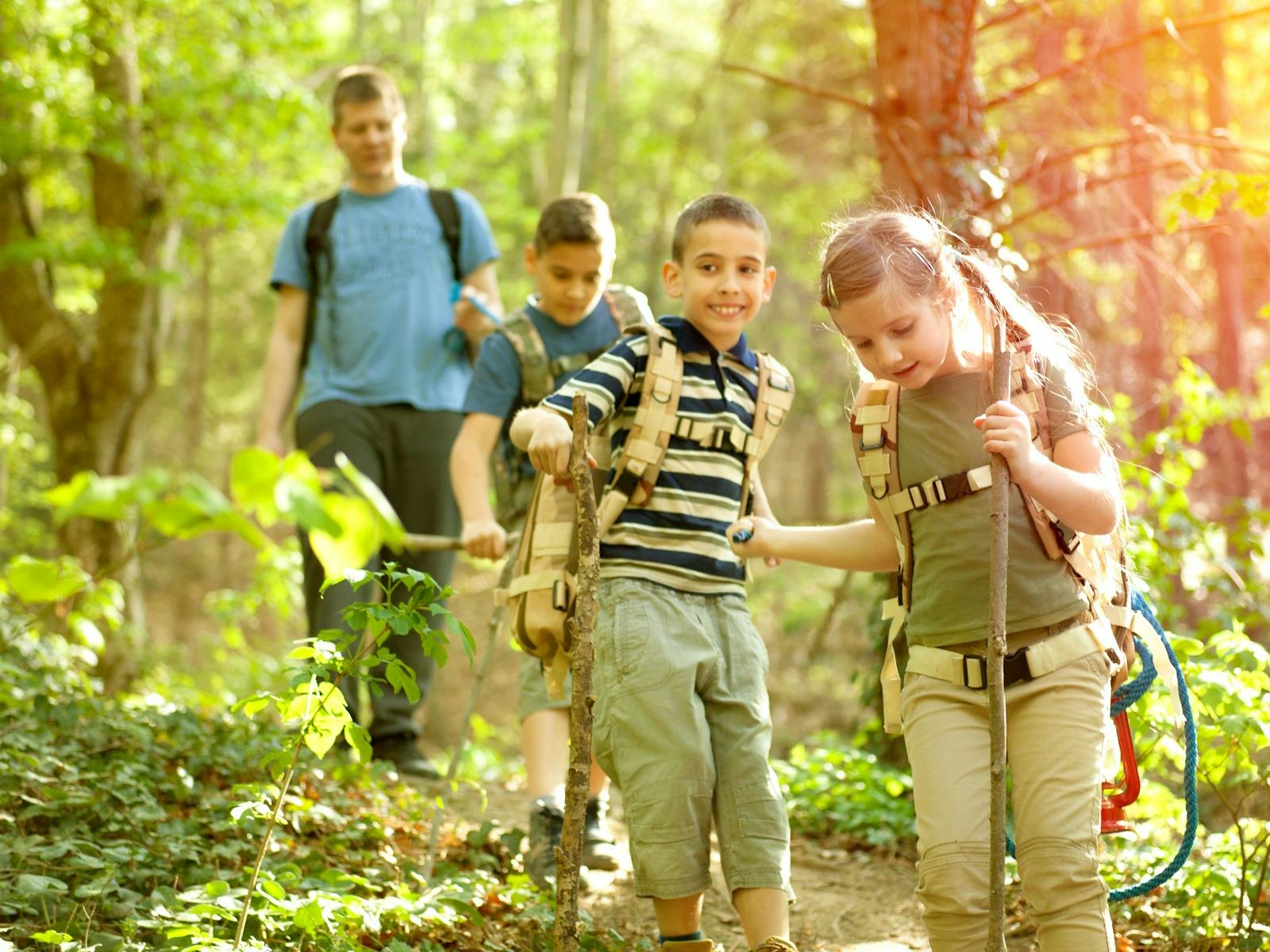 Father and three kids bushwalking in nature setting