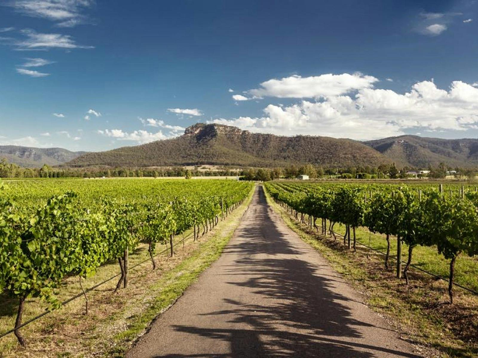 Image for Draytons Long Lunch - The History of Oakey Creek Edition