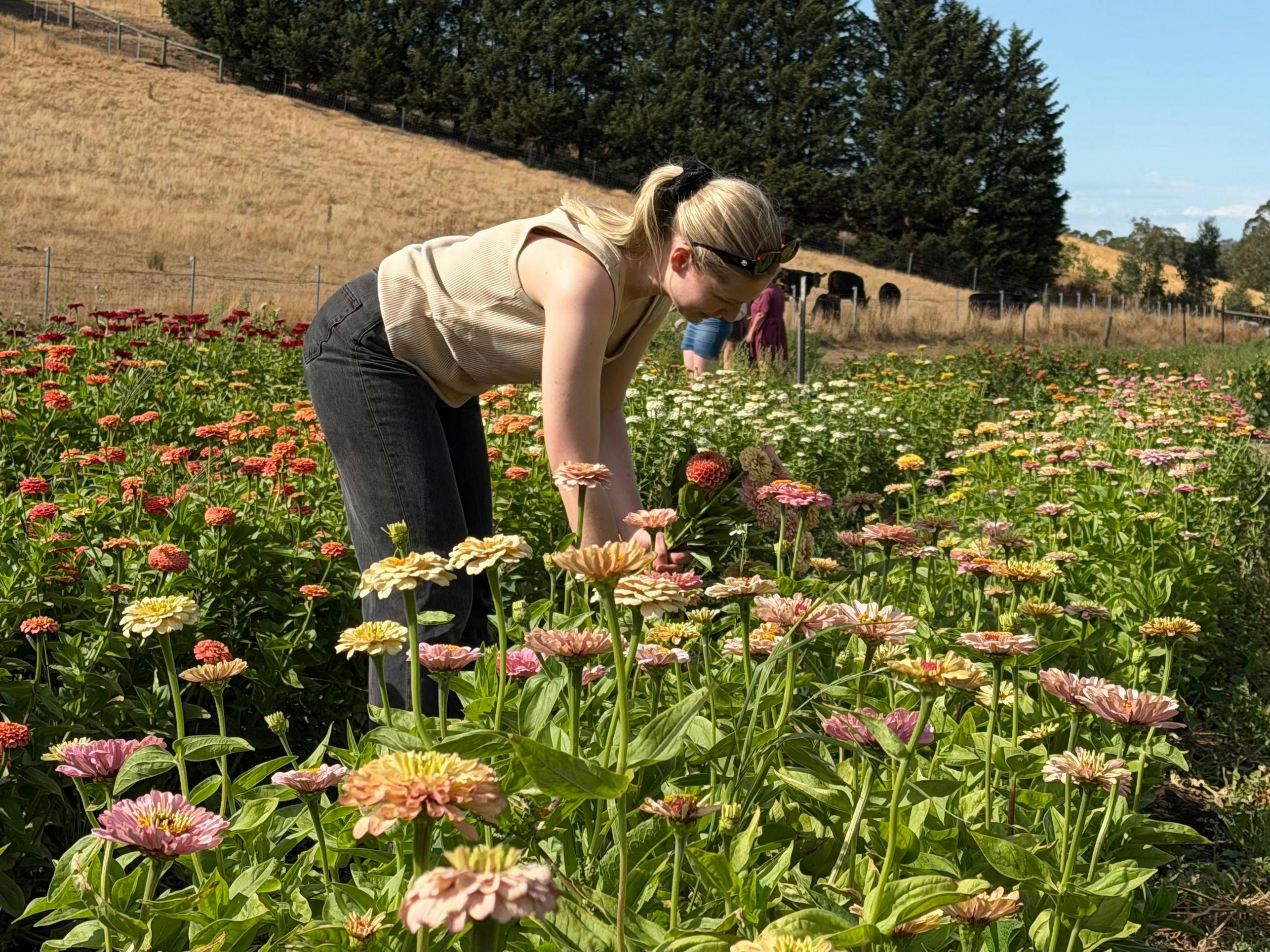 U-Pick Flower