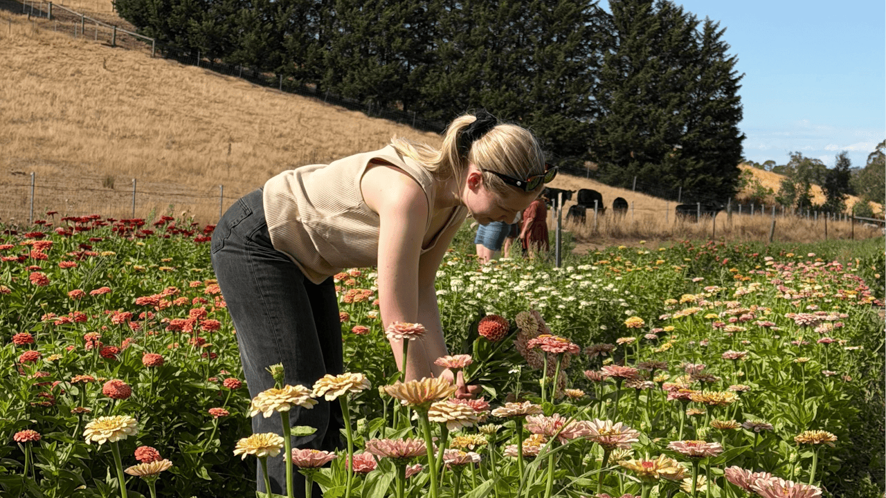 Wattle Gully Flower Farm