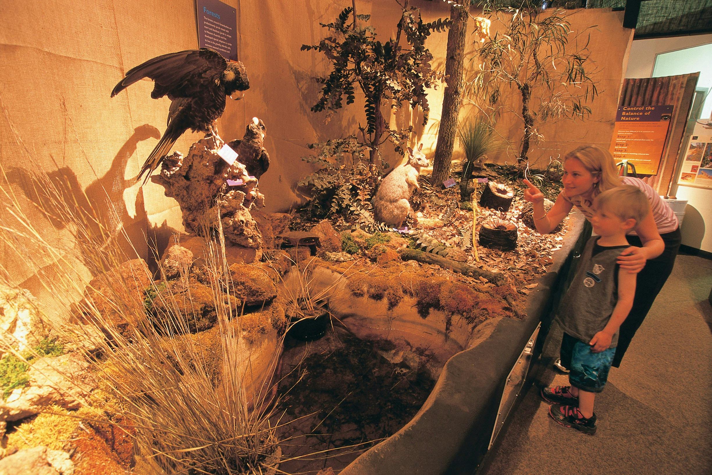 Greenbushes Loop, Greenbushes, Western Australia