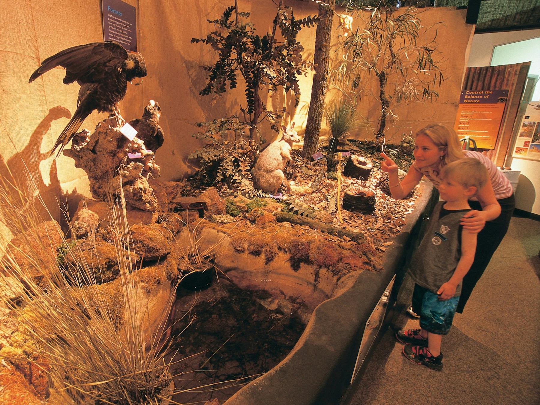 Greenbushes Loop, Greenbushes, Western Australia