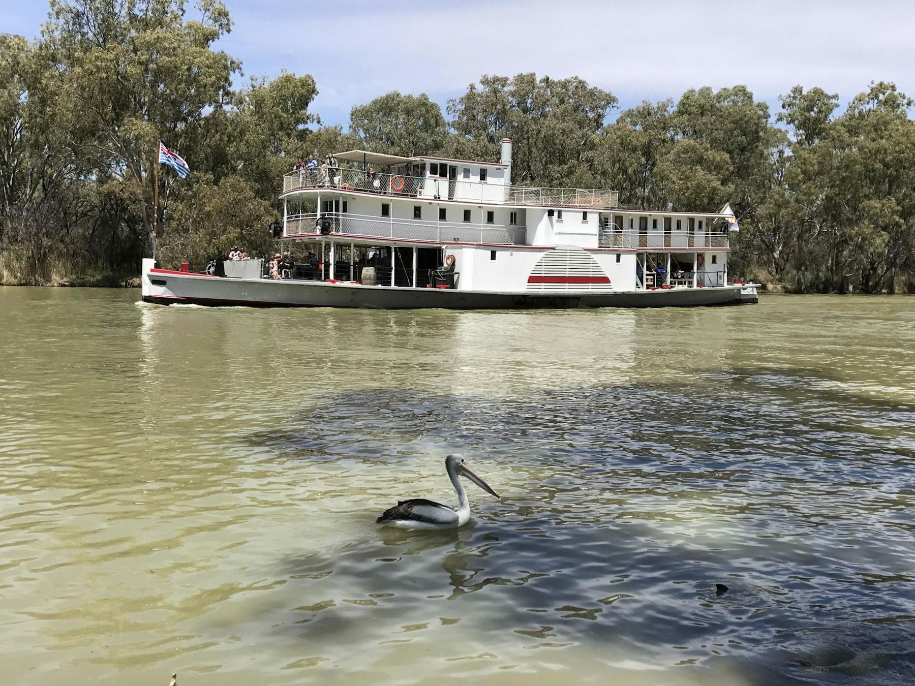 PS Ruby along the Murray river