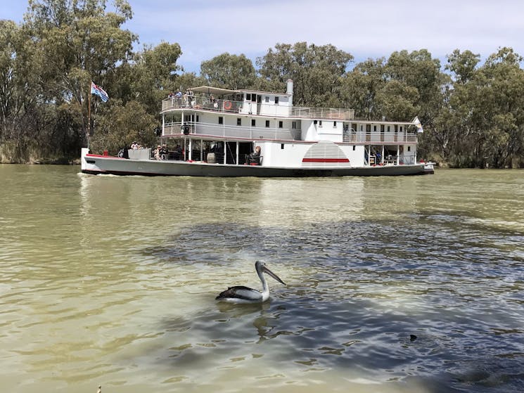 PS Ruby along the Murray river