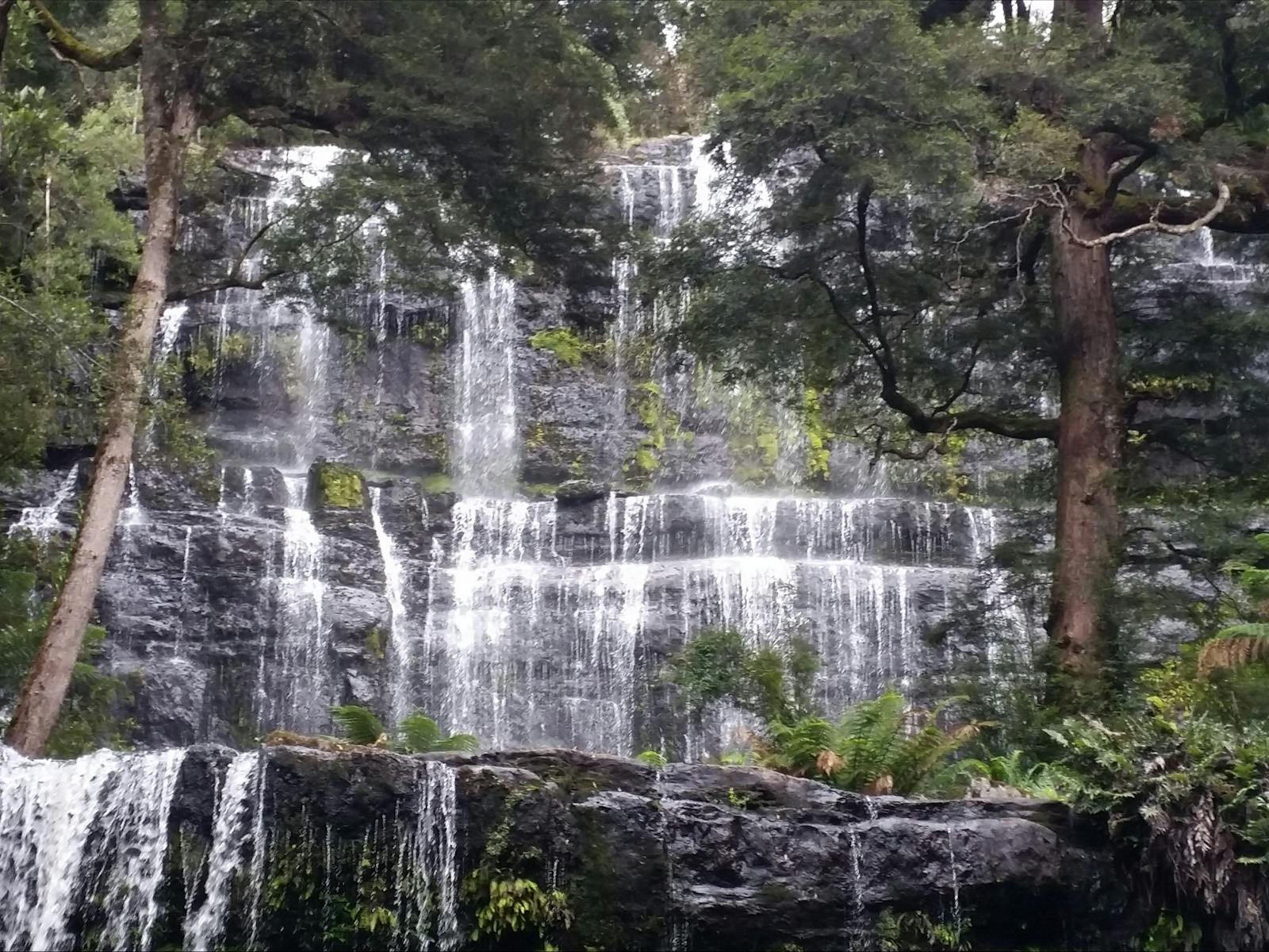 Pristine National Parks Tasmania Wilderness Explorer tours with Spirit Safaris