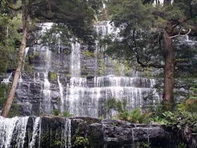 Spirit Safaris in Tasmania