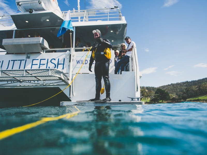 Co-Founder Nick in wetsuit on catamaran Cuttlefish ready to dive for sea urchin and periwinkles