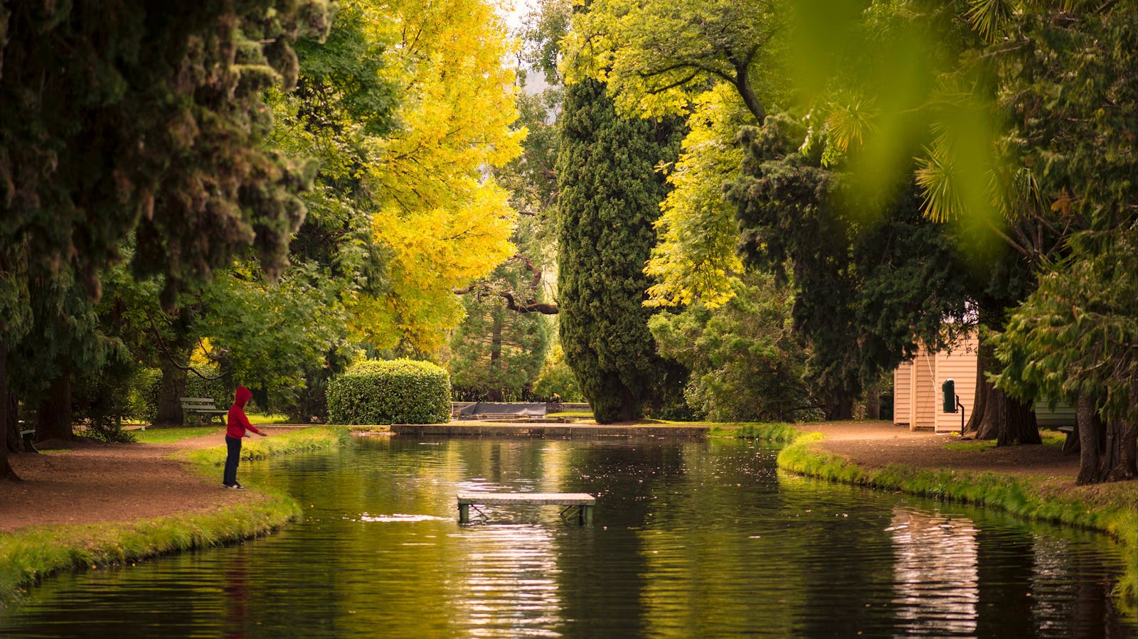 The Salmon Ponds