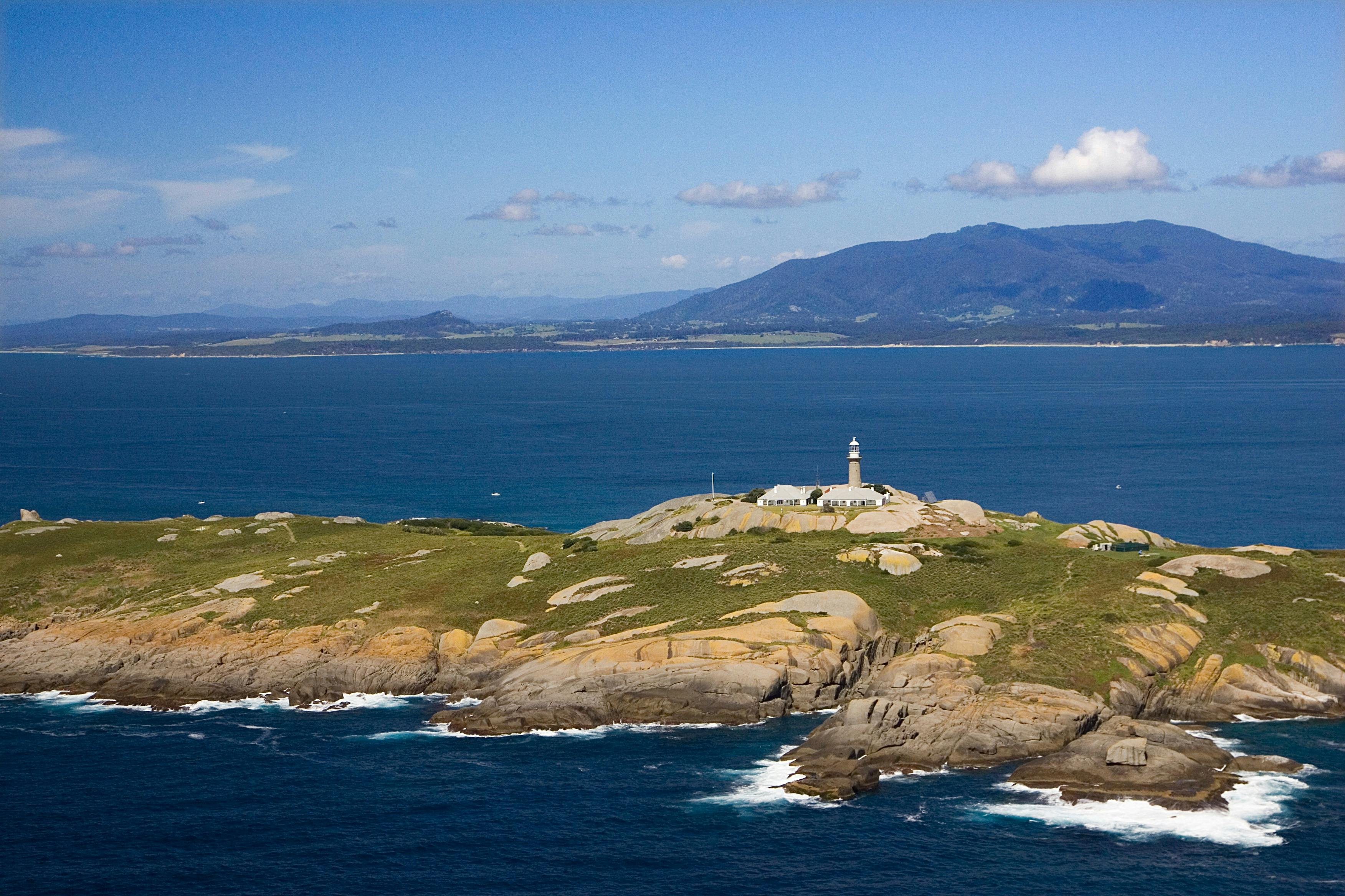 Montague Island Day Tour