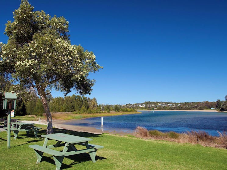 Burrill Lake - Foreshore