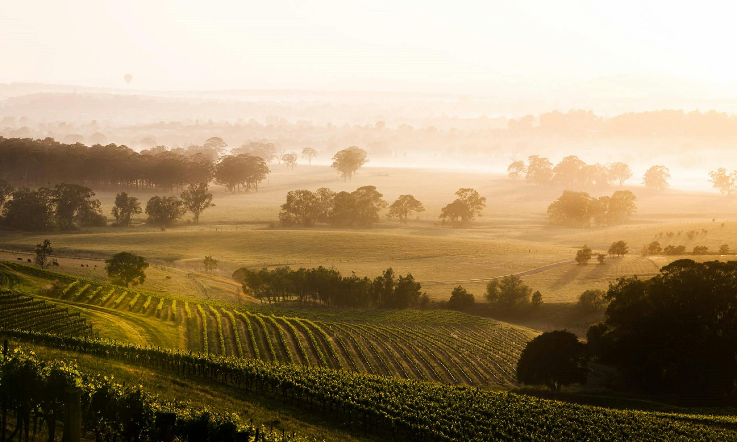 Hunter Valley NSW, Wine Country Food and Wine Lovers Tour