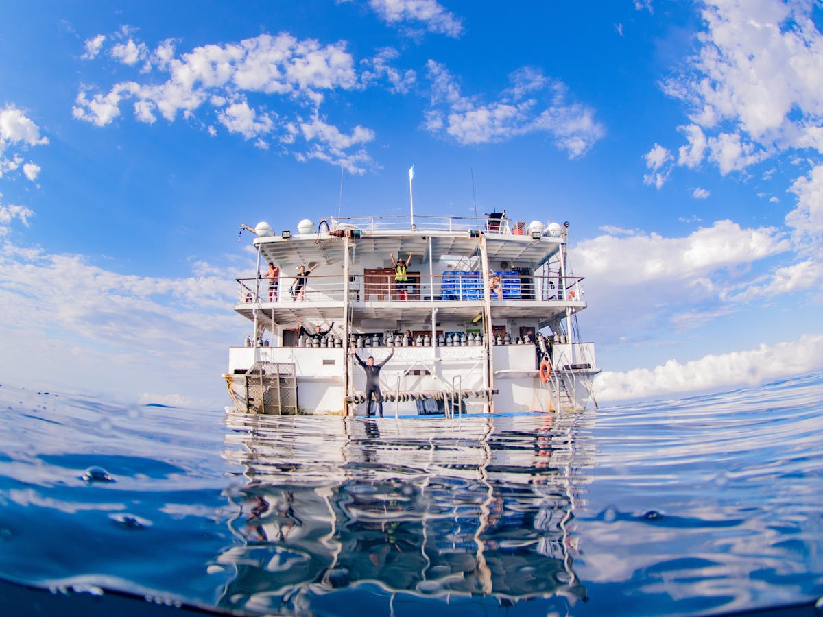 Reef-Encounter