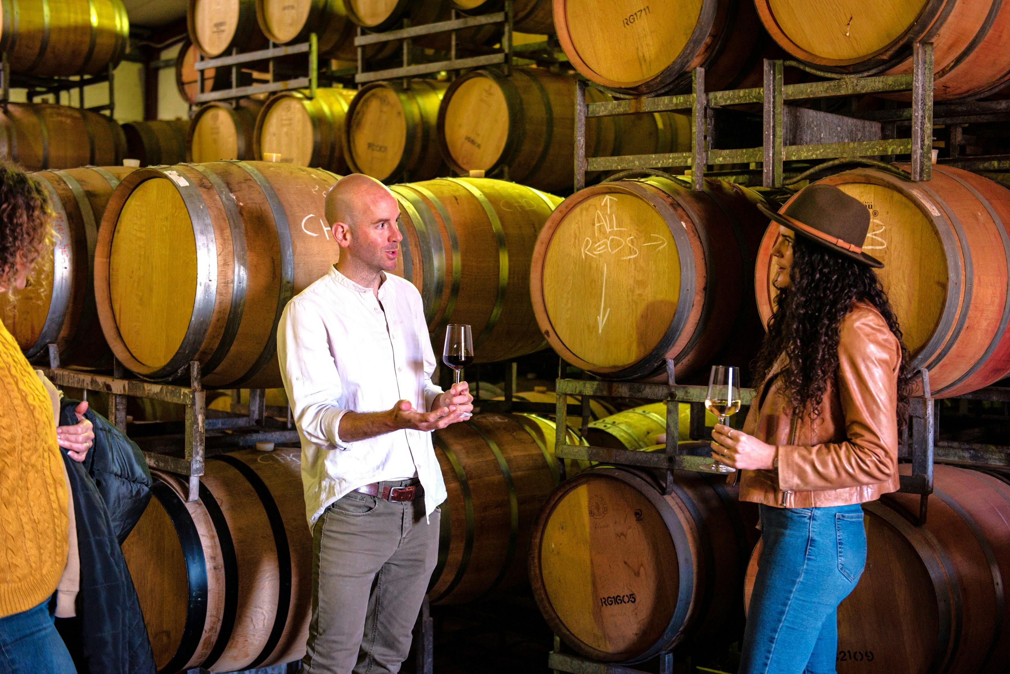 Exclusive Wine Tasting in Barrel Room