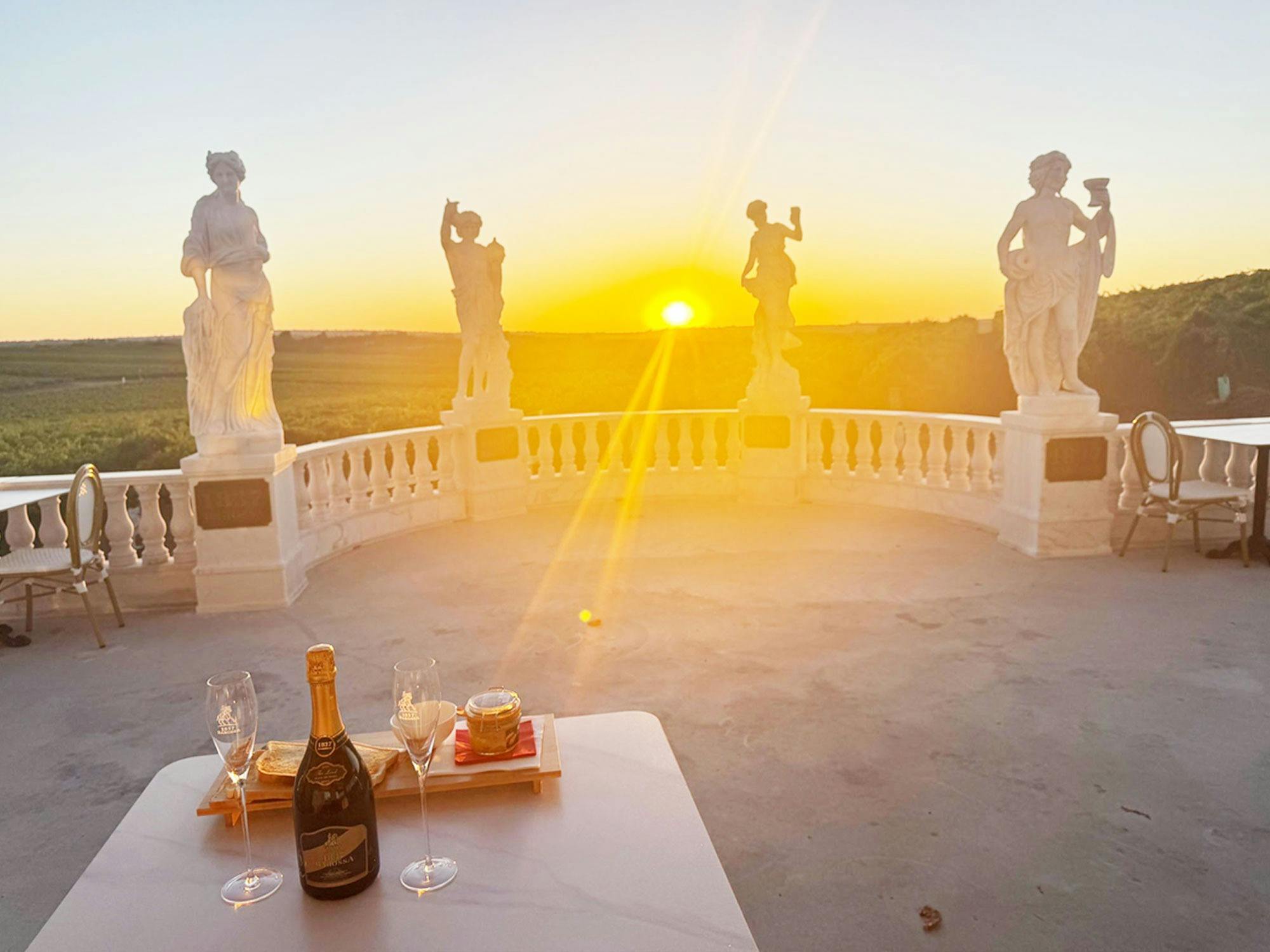 Shiraz Tasting & Picnic