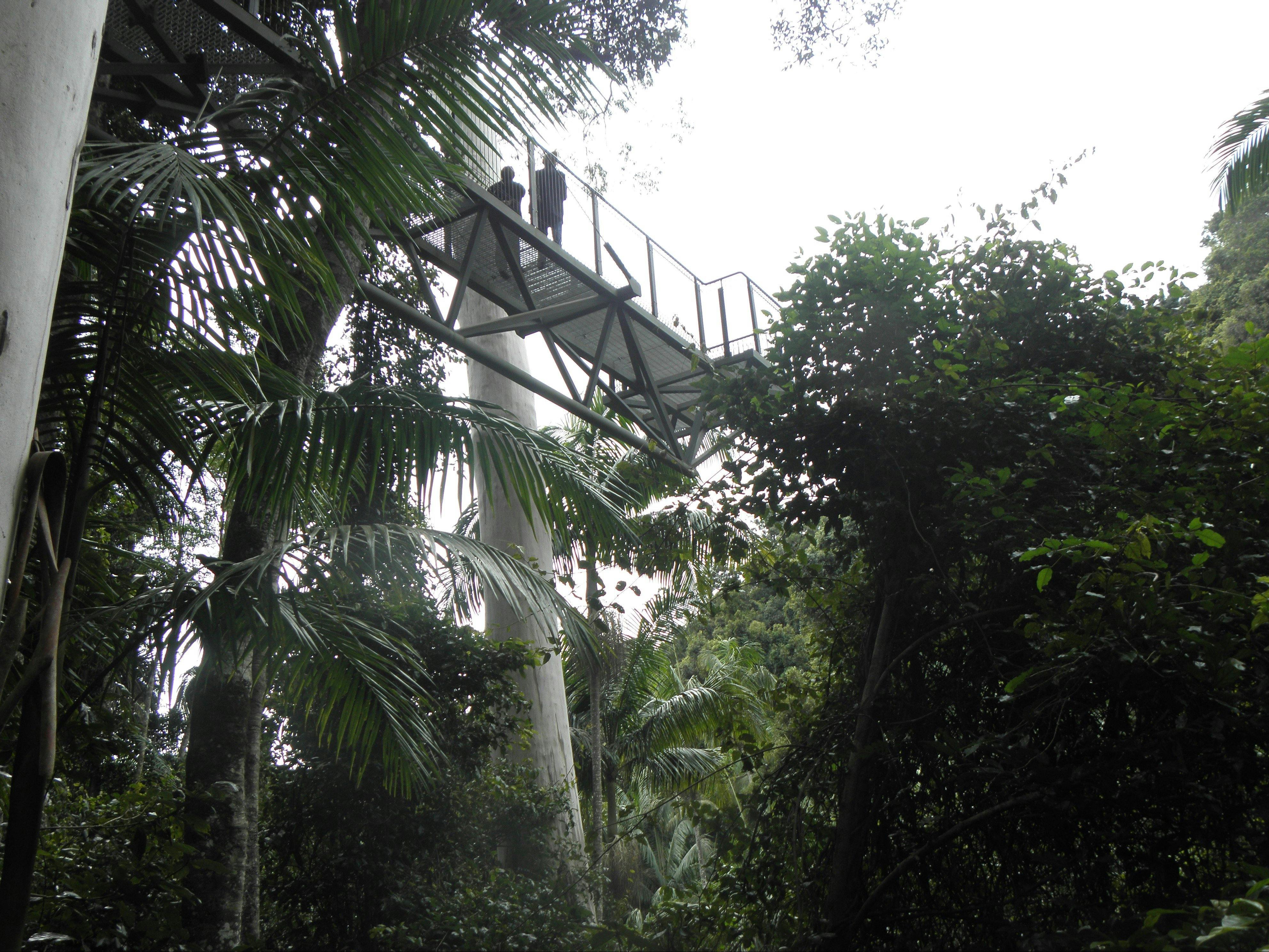 Araucaria Ecotours