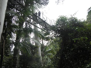 Araucaria Ecotours