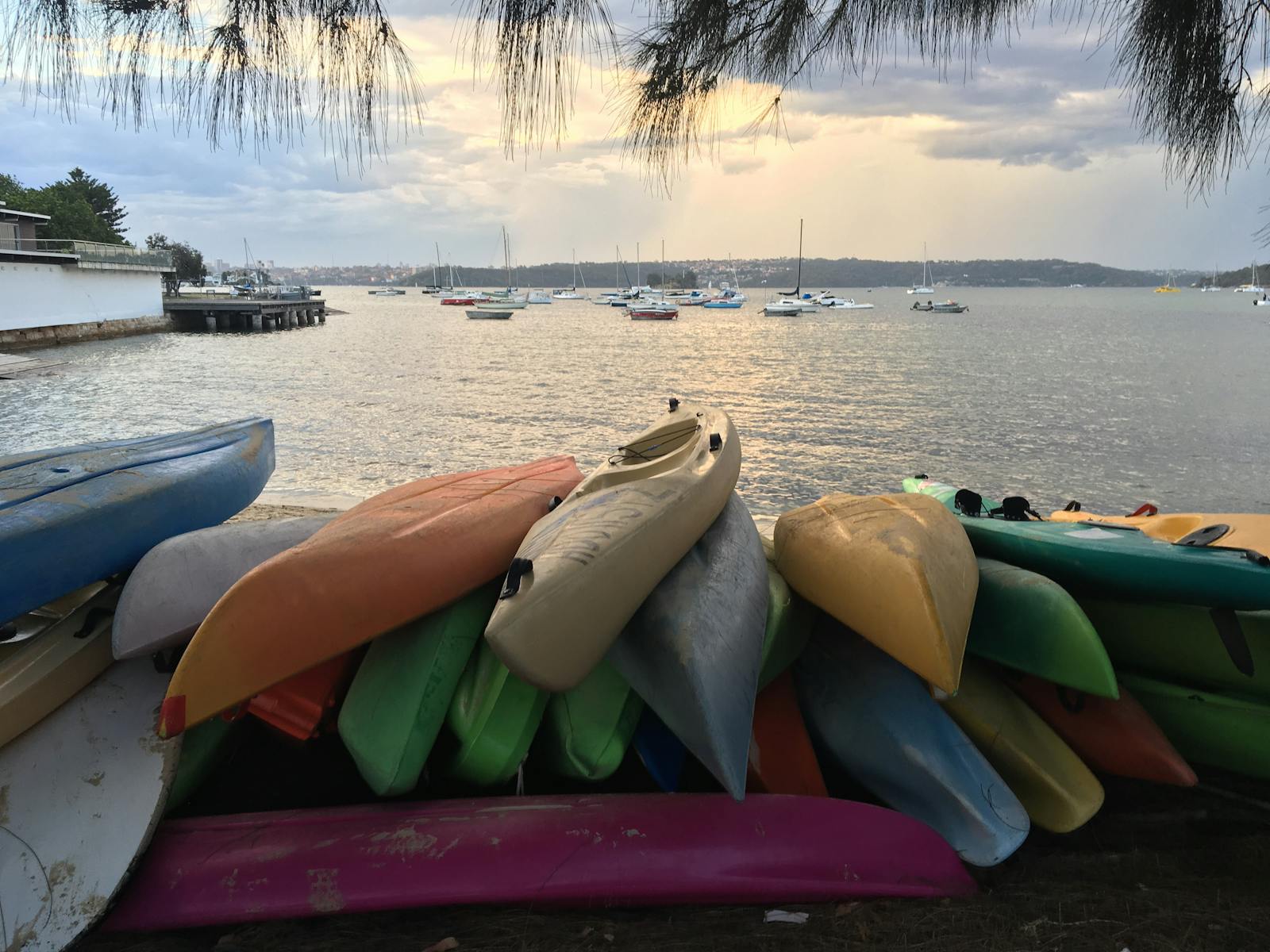 로즈 베이 해안에서 카약 타기