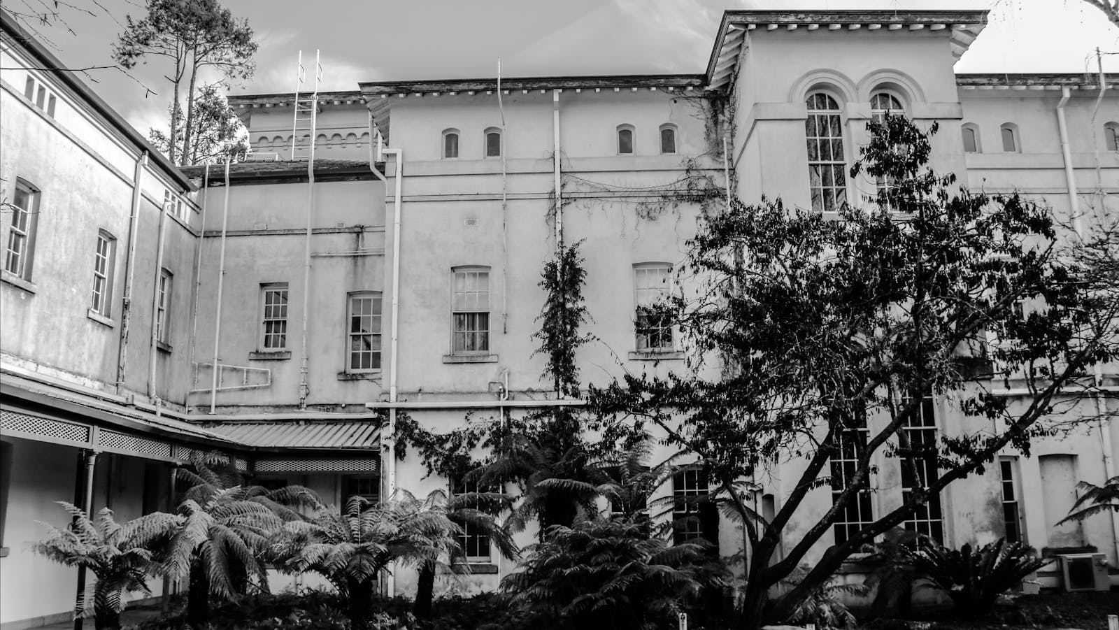 Asylum Ghost Tours