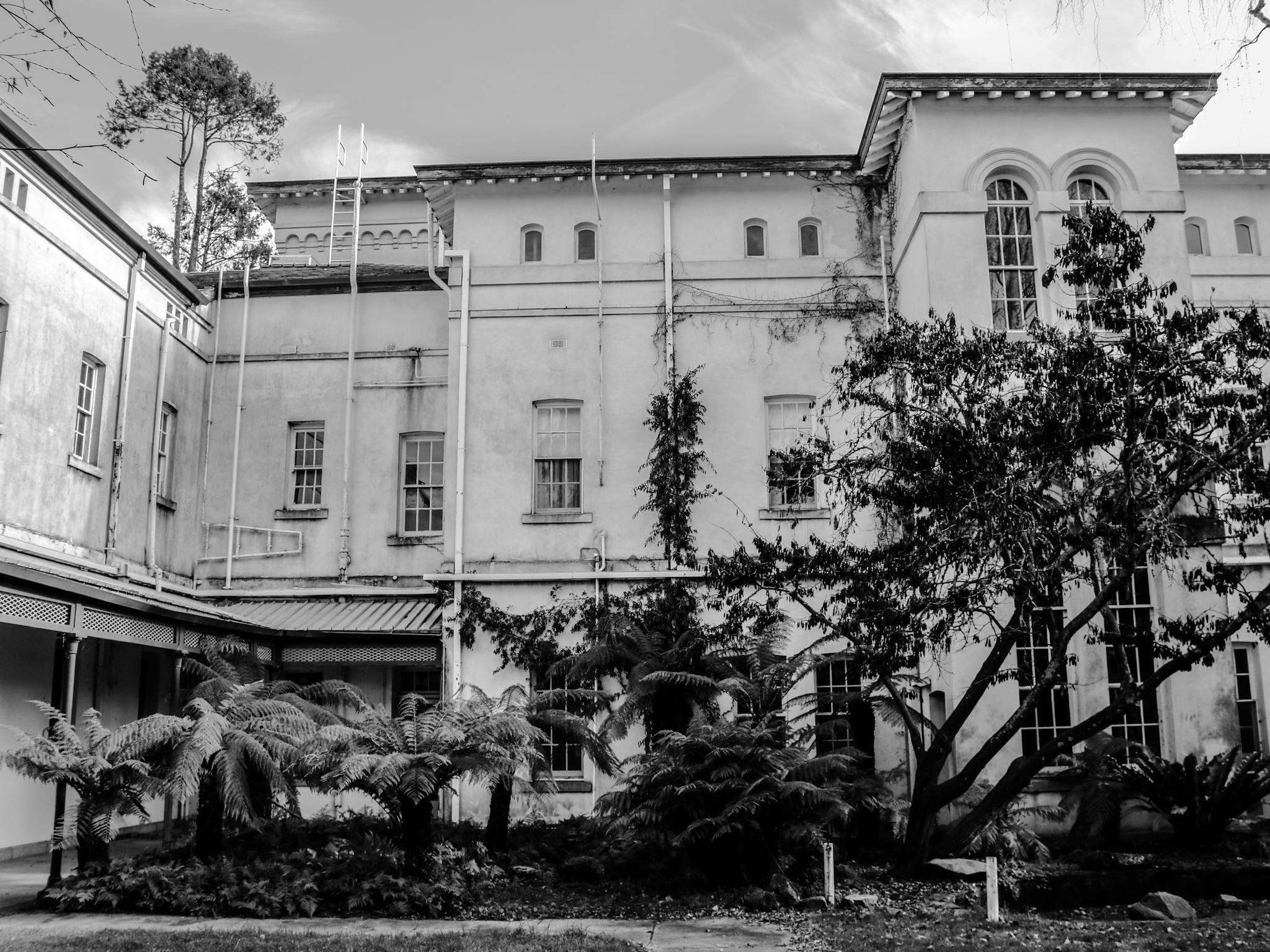 beechworth asylum tour