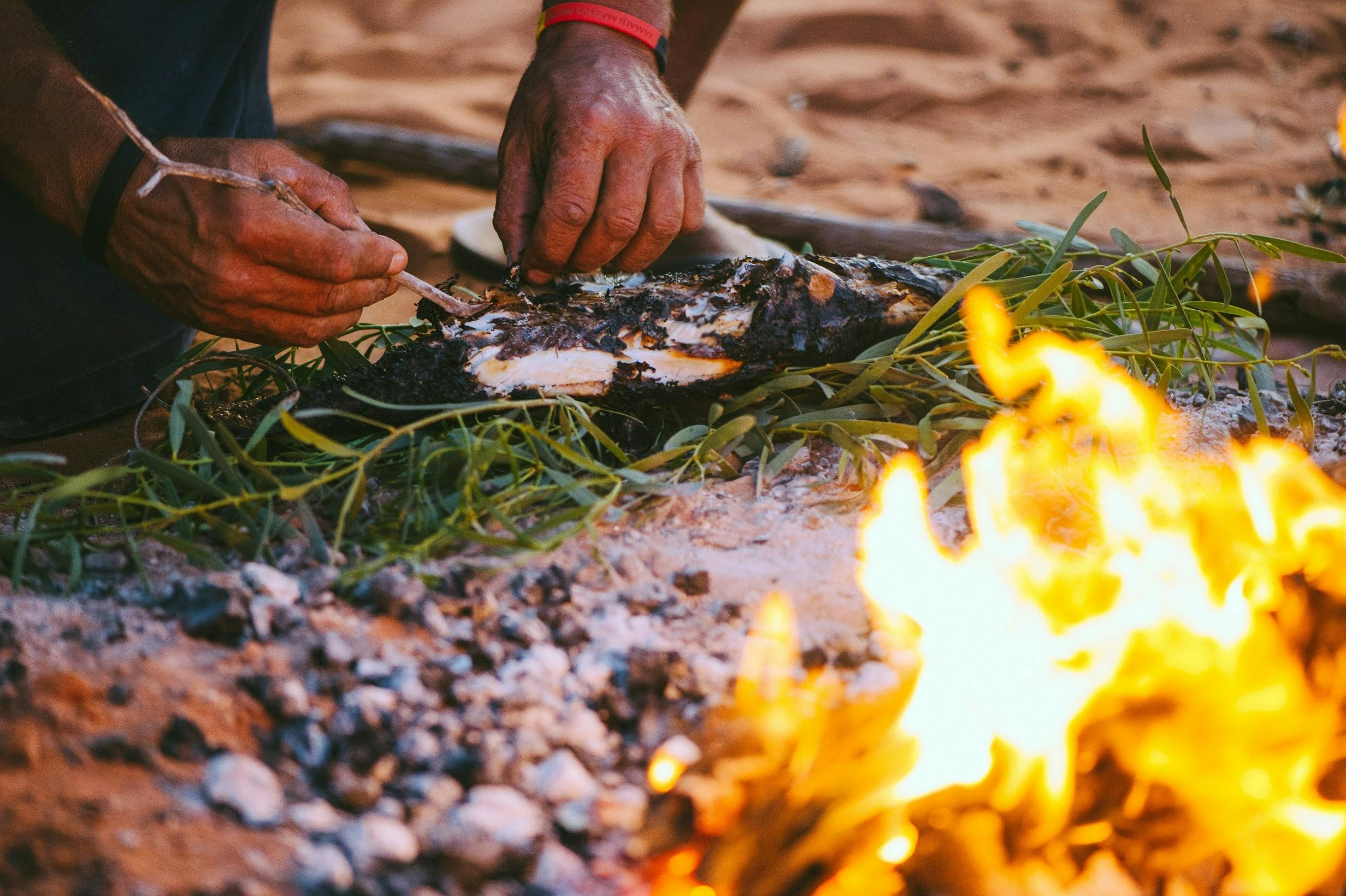 Cooking Mullet on colas