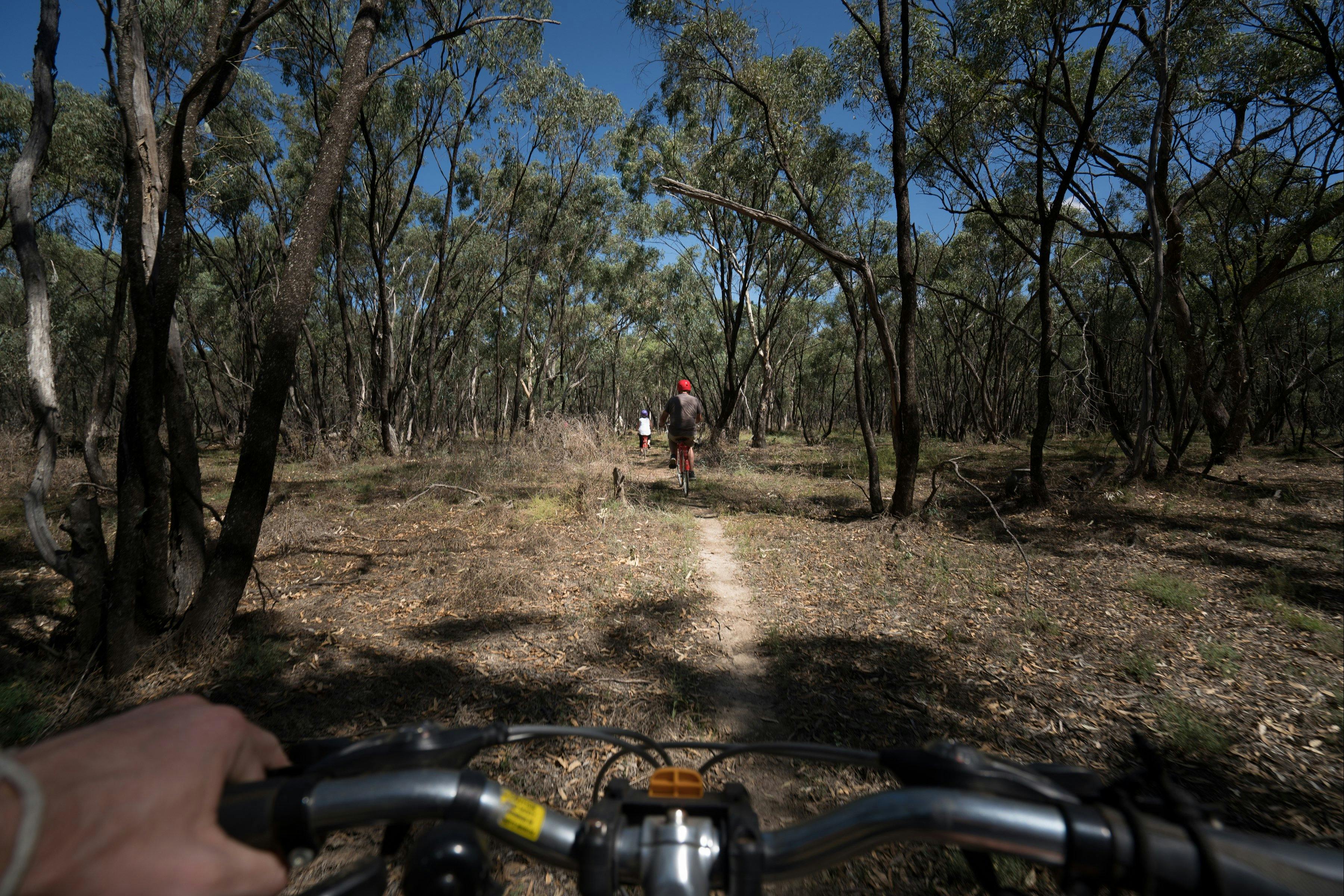 Deniliquin Visitor Information Centre Bike Hire NSW Holidays