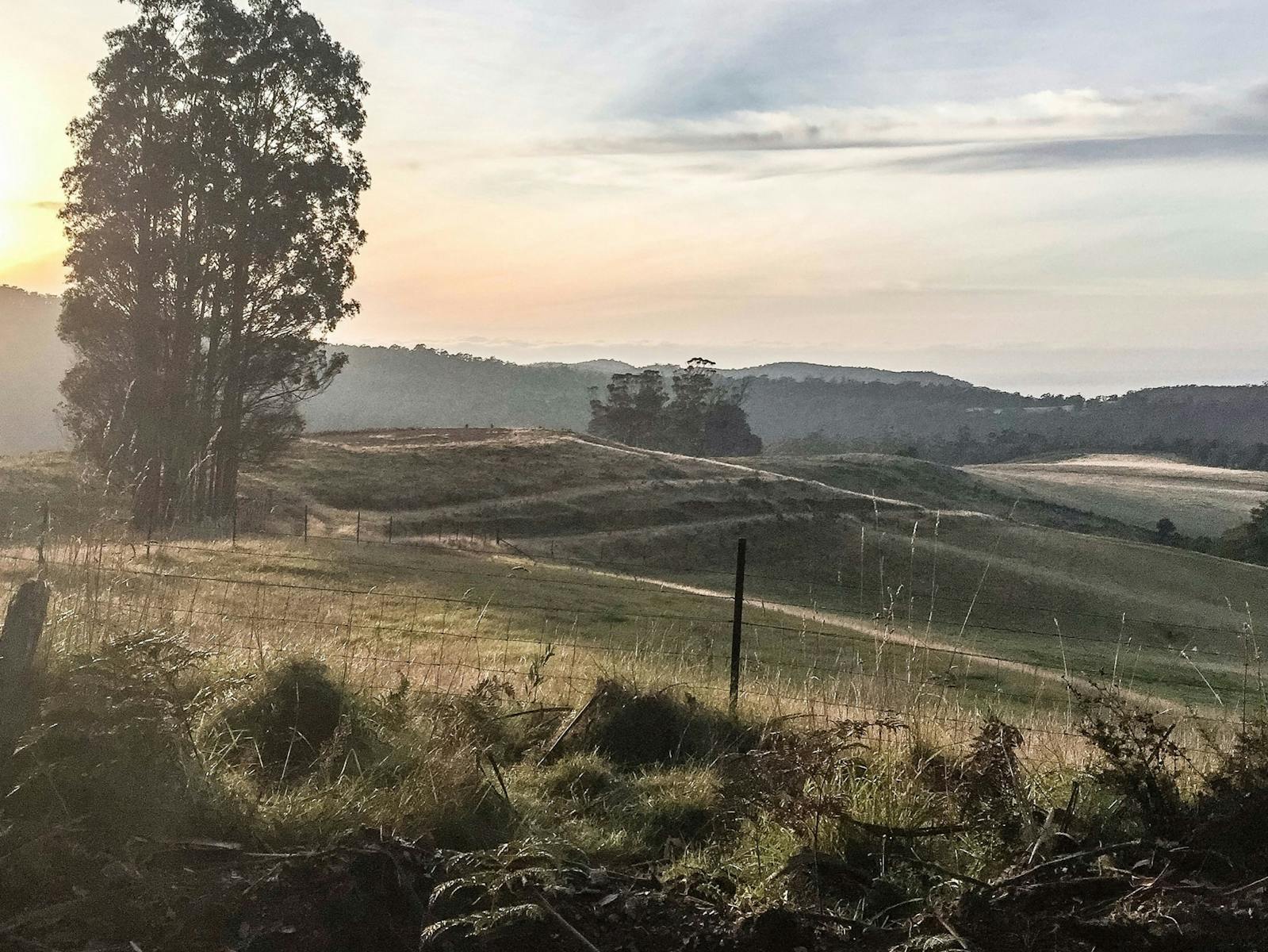 landscape view of rural paddocks overlooking the Tasman Sea