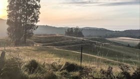 Vortex Healing Centre