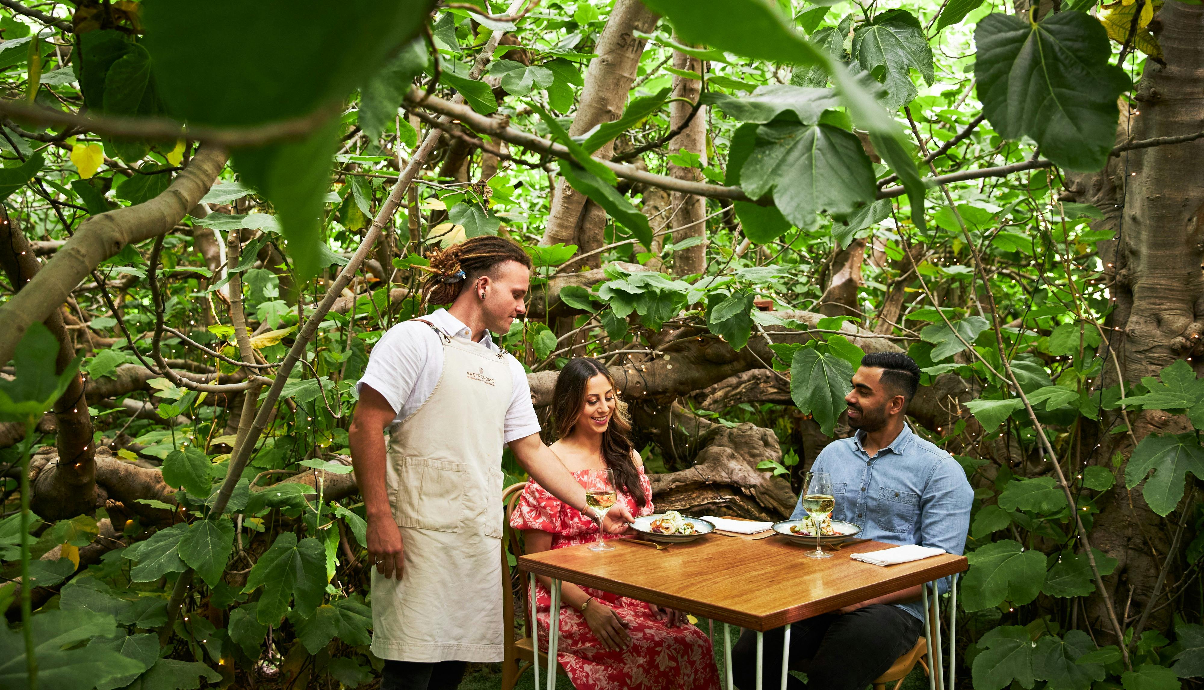 Self-Drive Package: Three Day Hideway & The Fig Tree