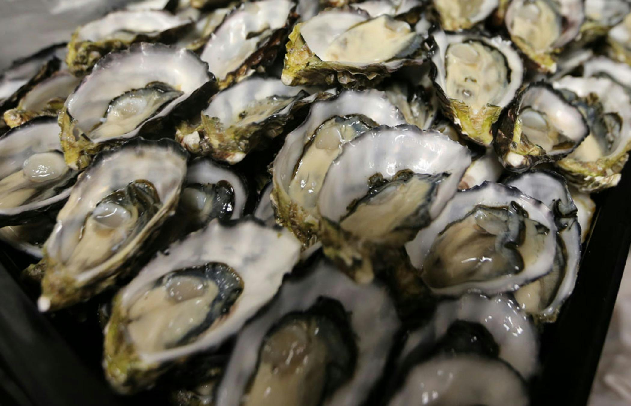 博斯利公園星級自助餐