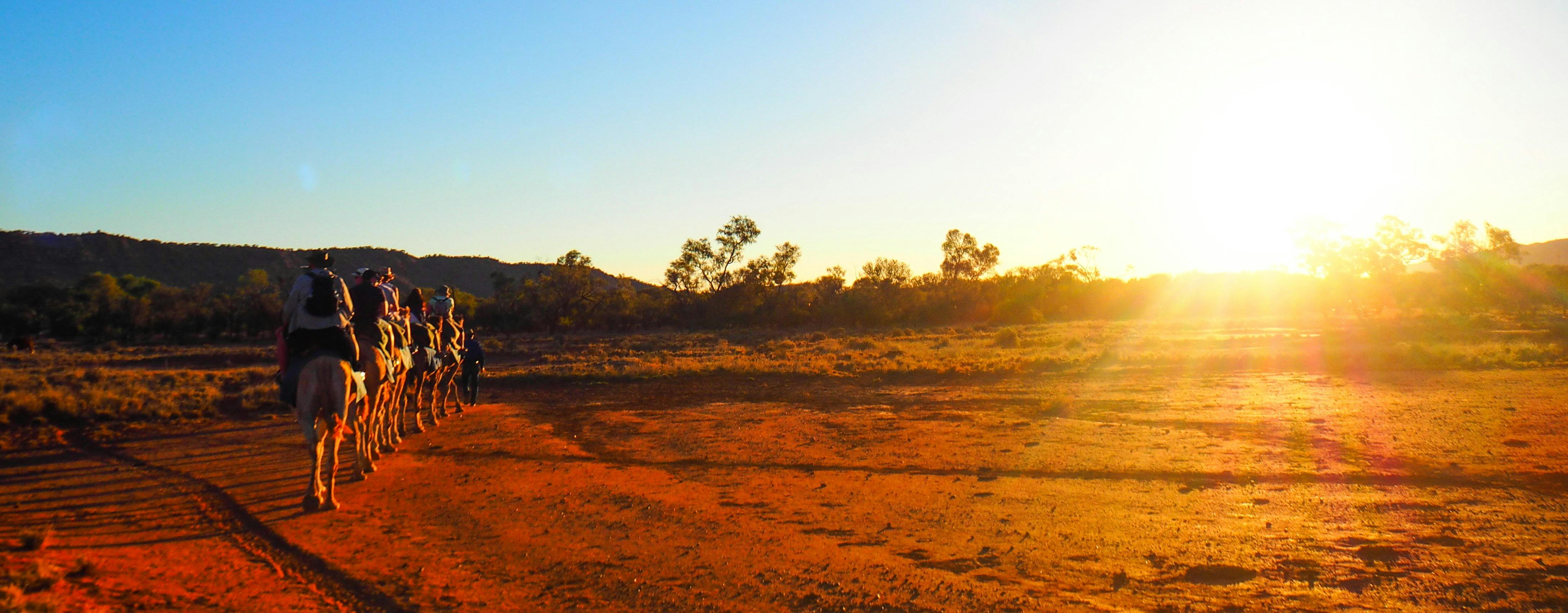 Camel ride Alice Springs NT