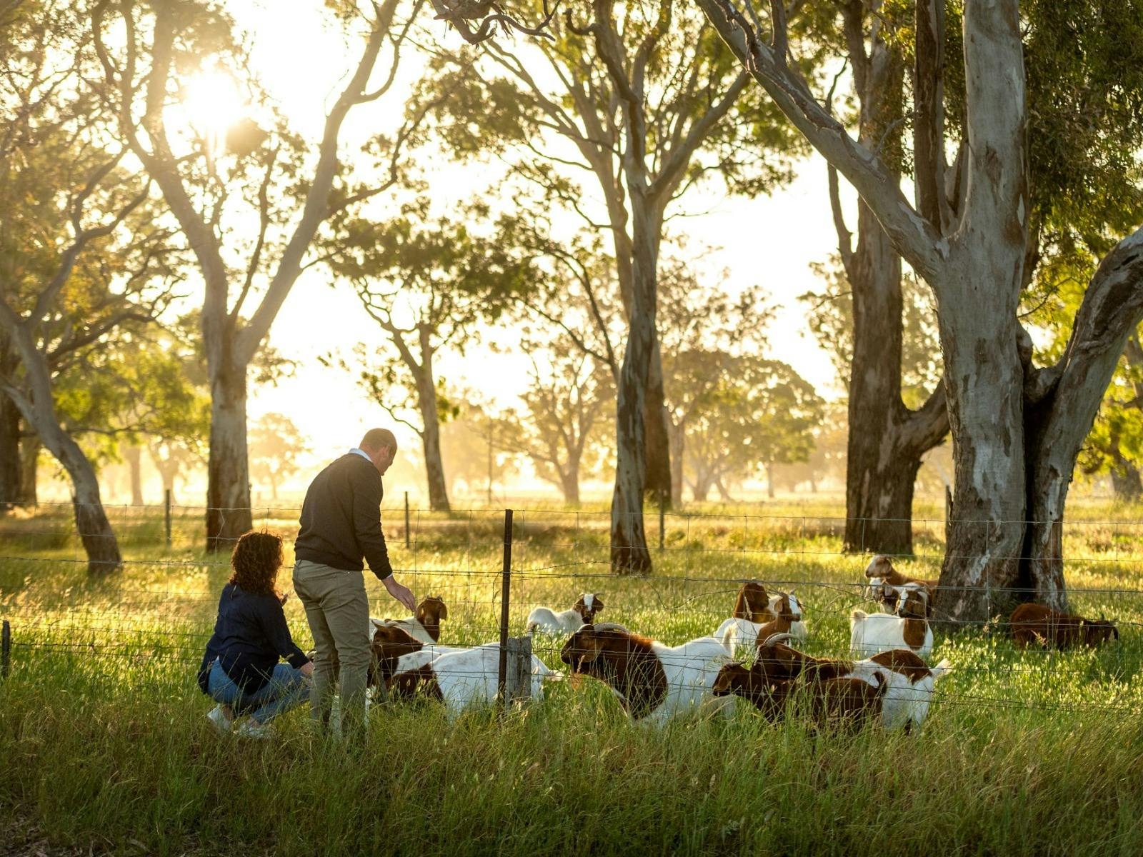 Raidis Estate Coonawarra Cellar Door