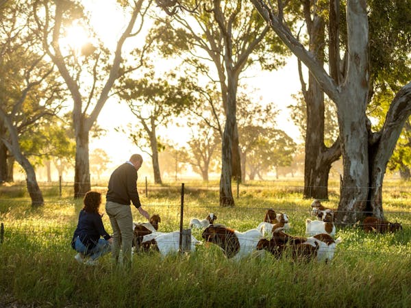Raidis Estate Coonawarra Cellar Door