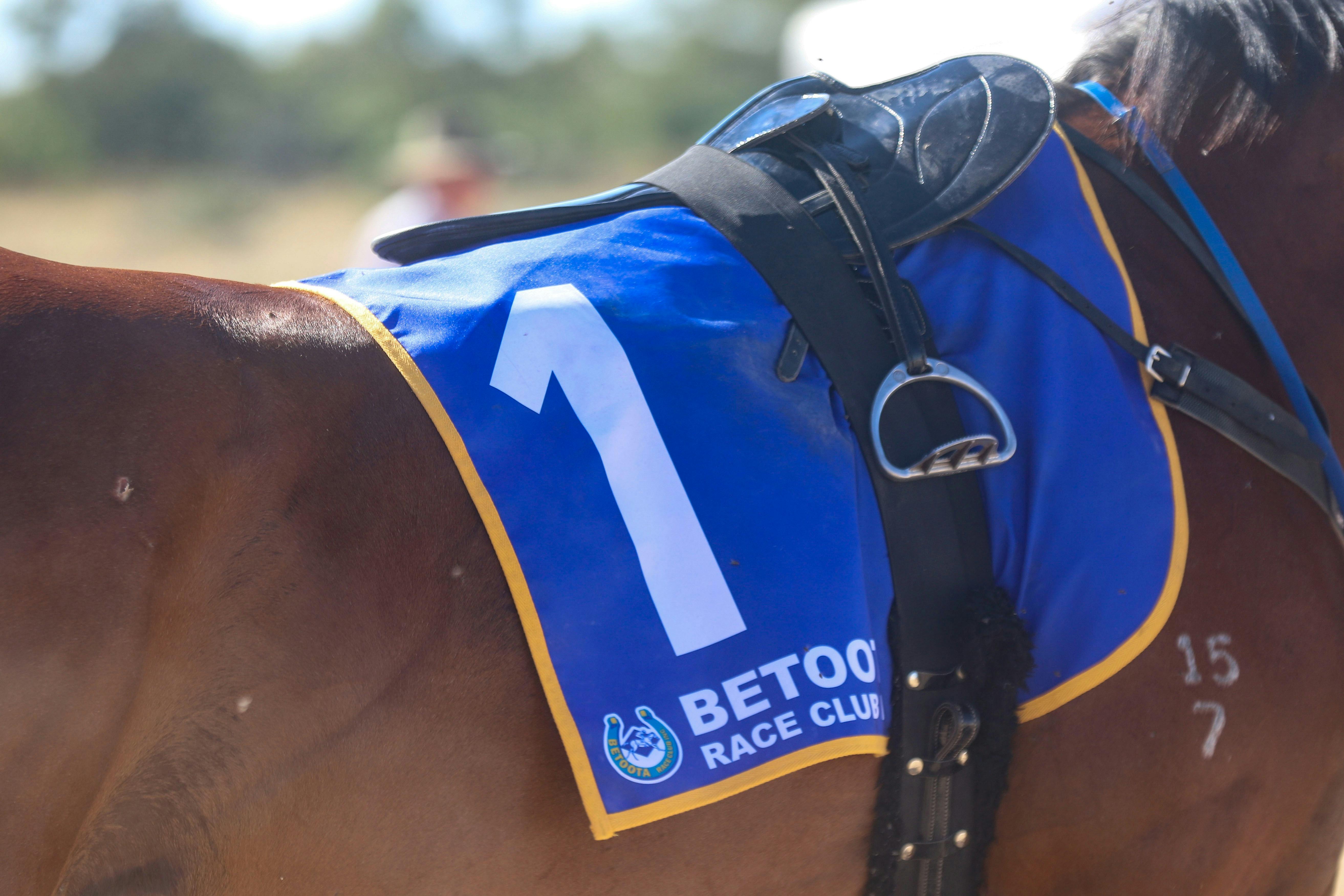 Betoota Races