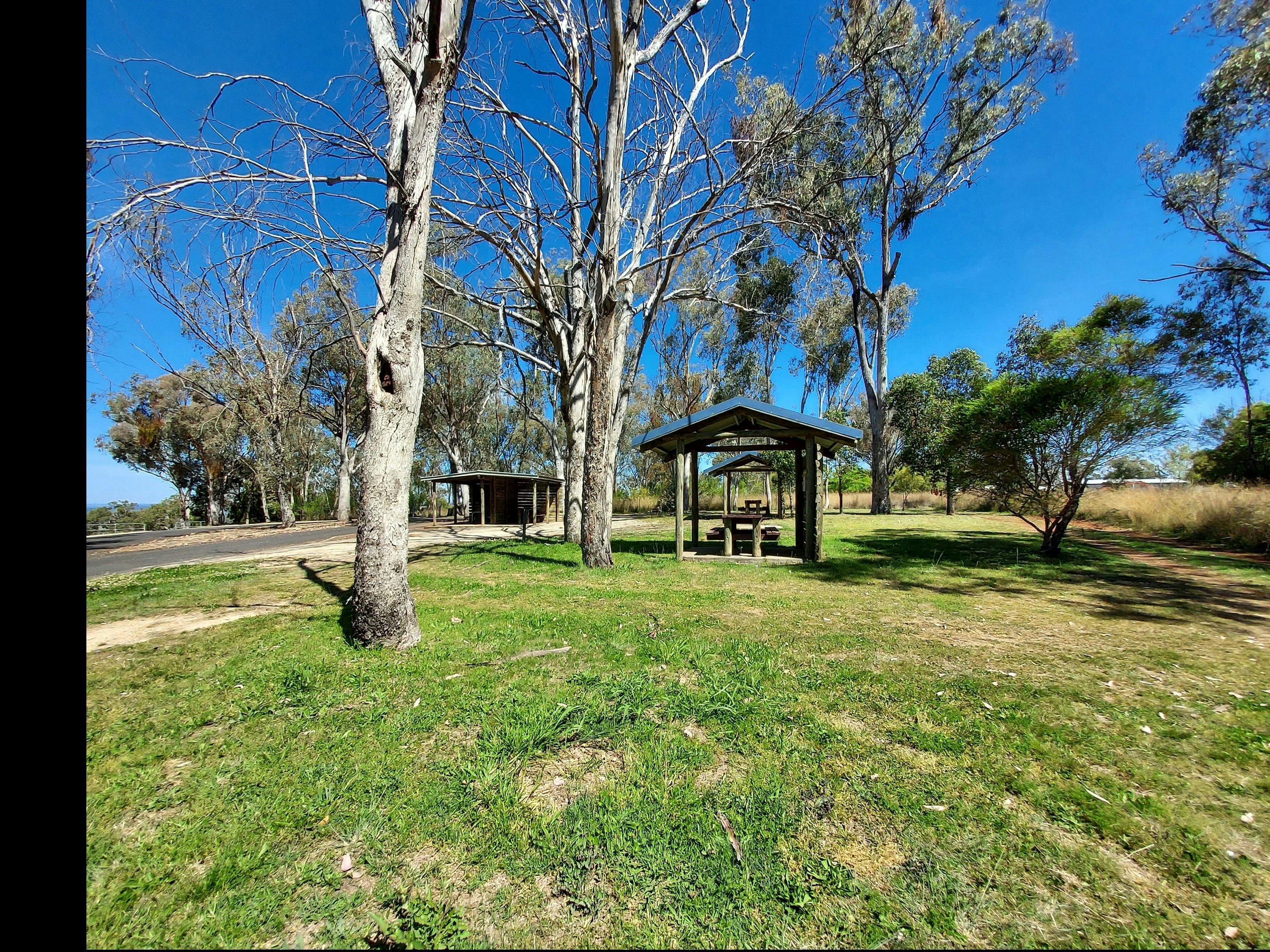 Picnic Tables surrounded by gum tall gum trees and green grass