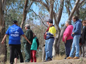 Guided tour of the Brewarrina Fish Traps