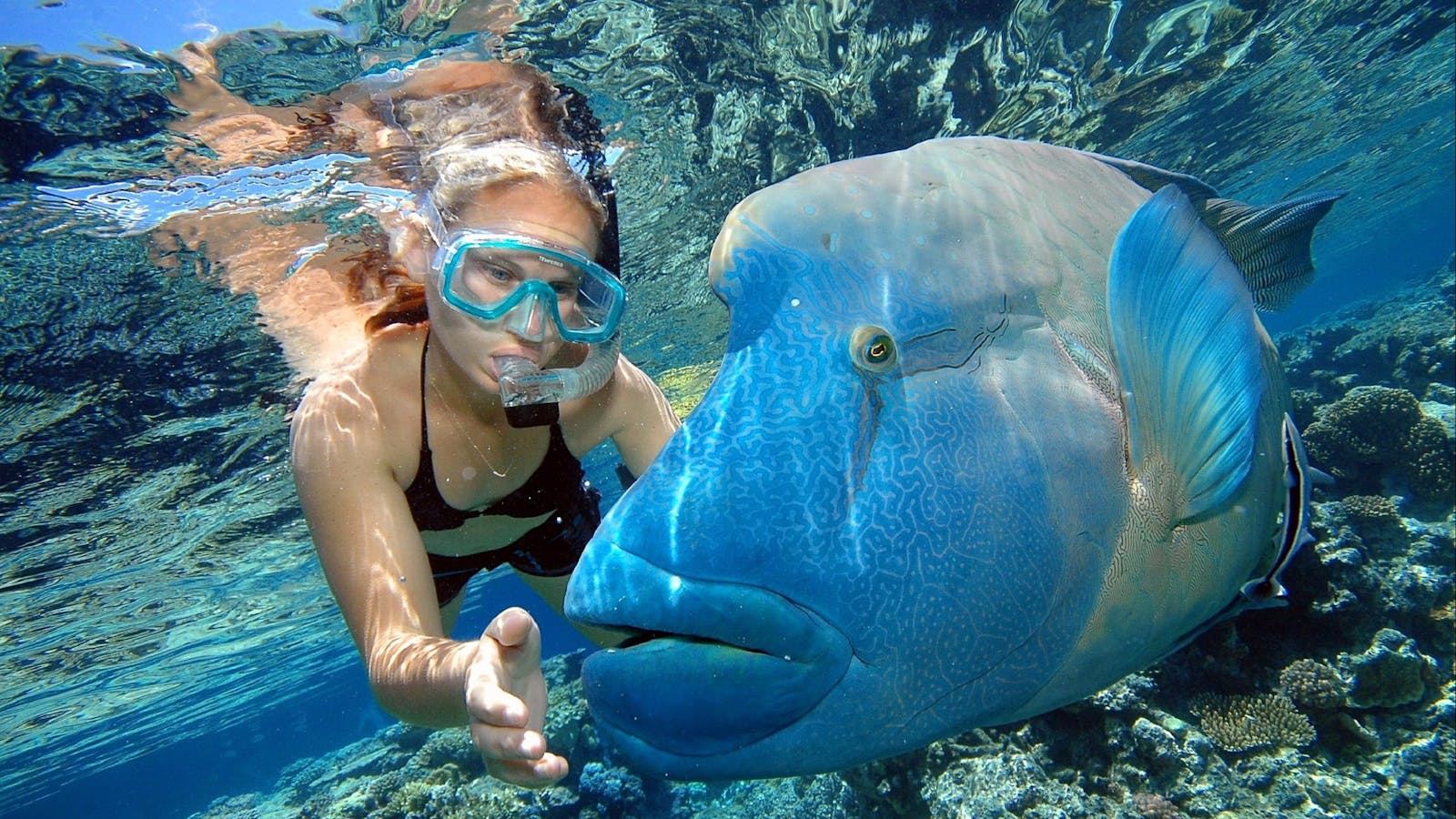 Reef Magic Cruises