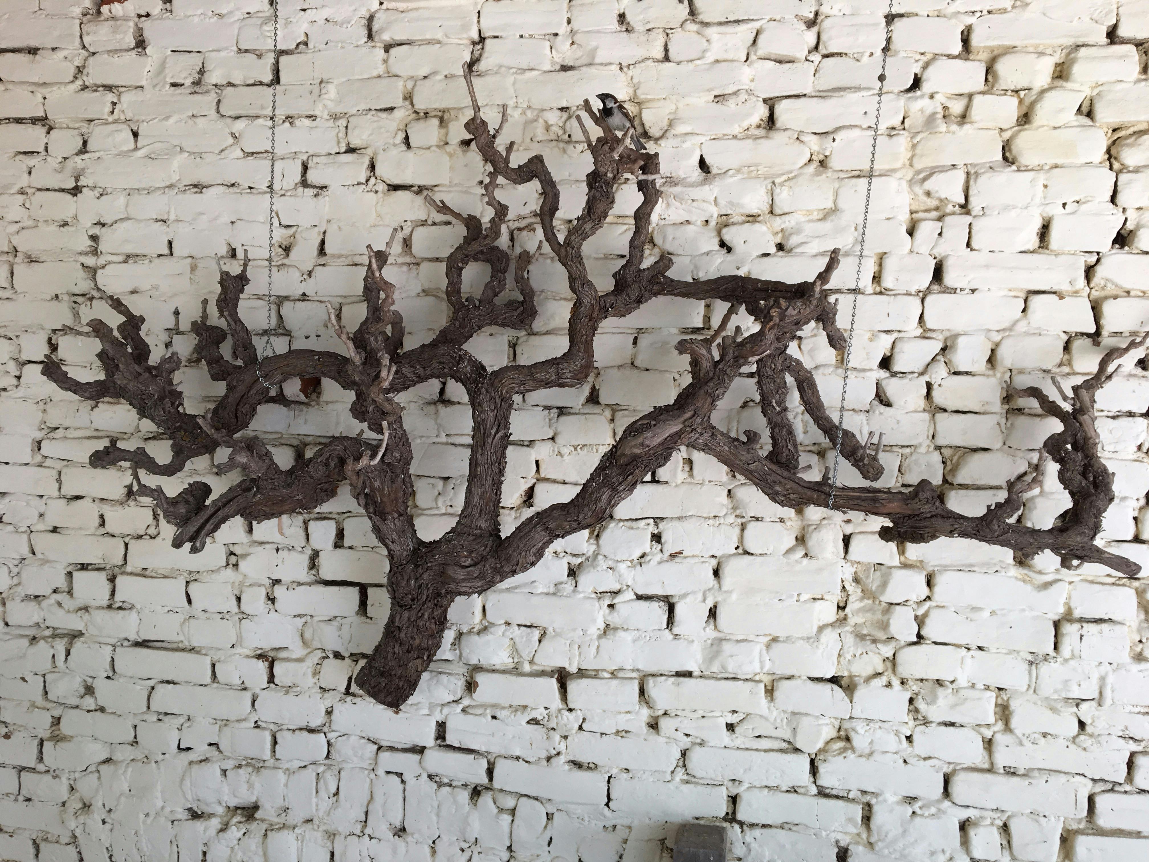 Vine Art