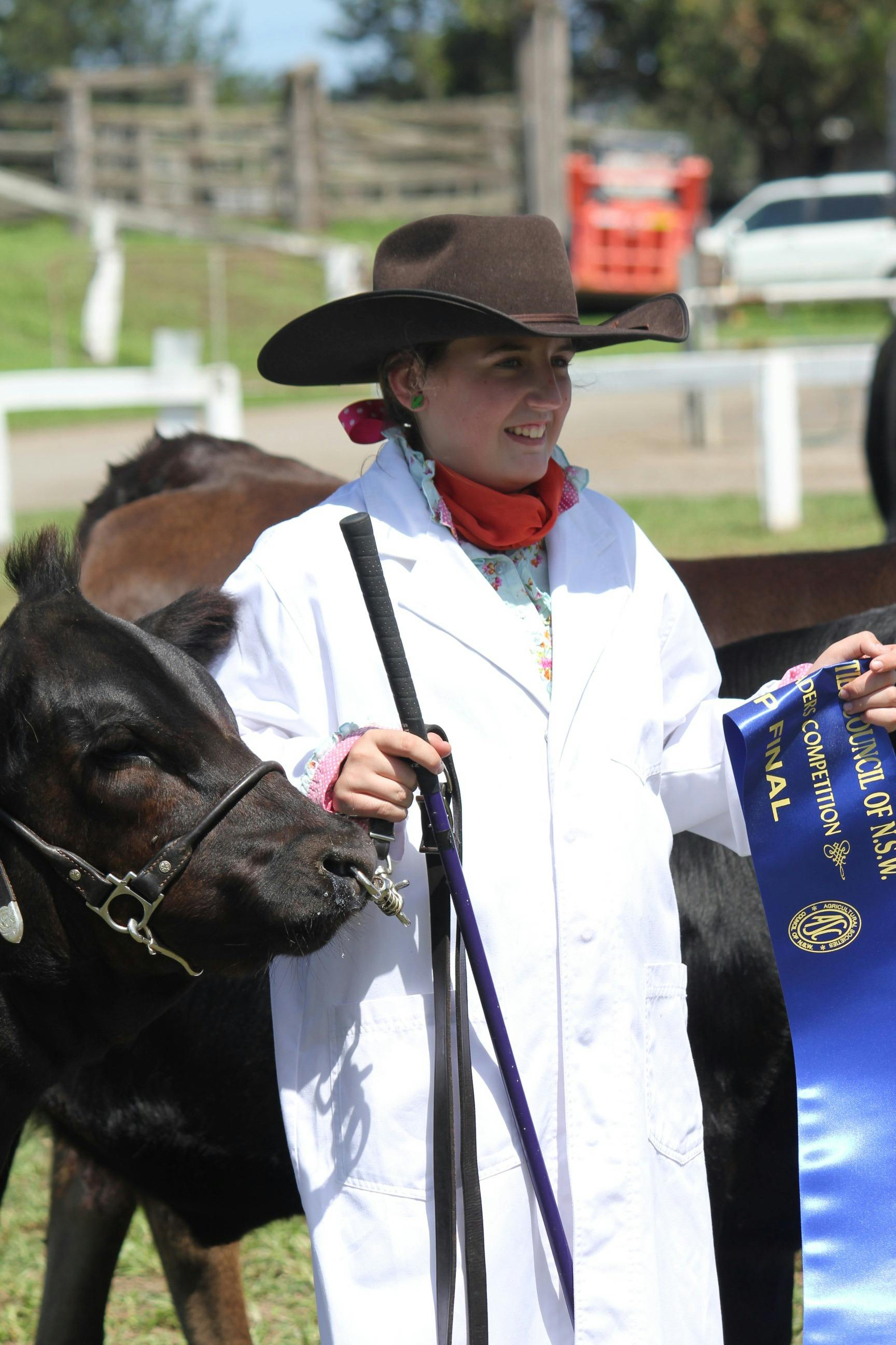 Regional Australia Bank Maitland Show