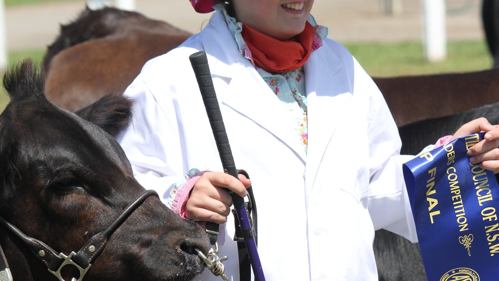 Regional Australia Bank Maitland Show