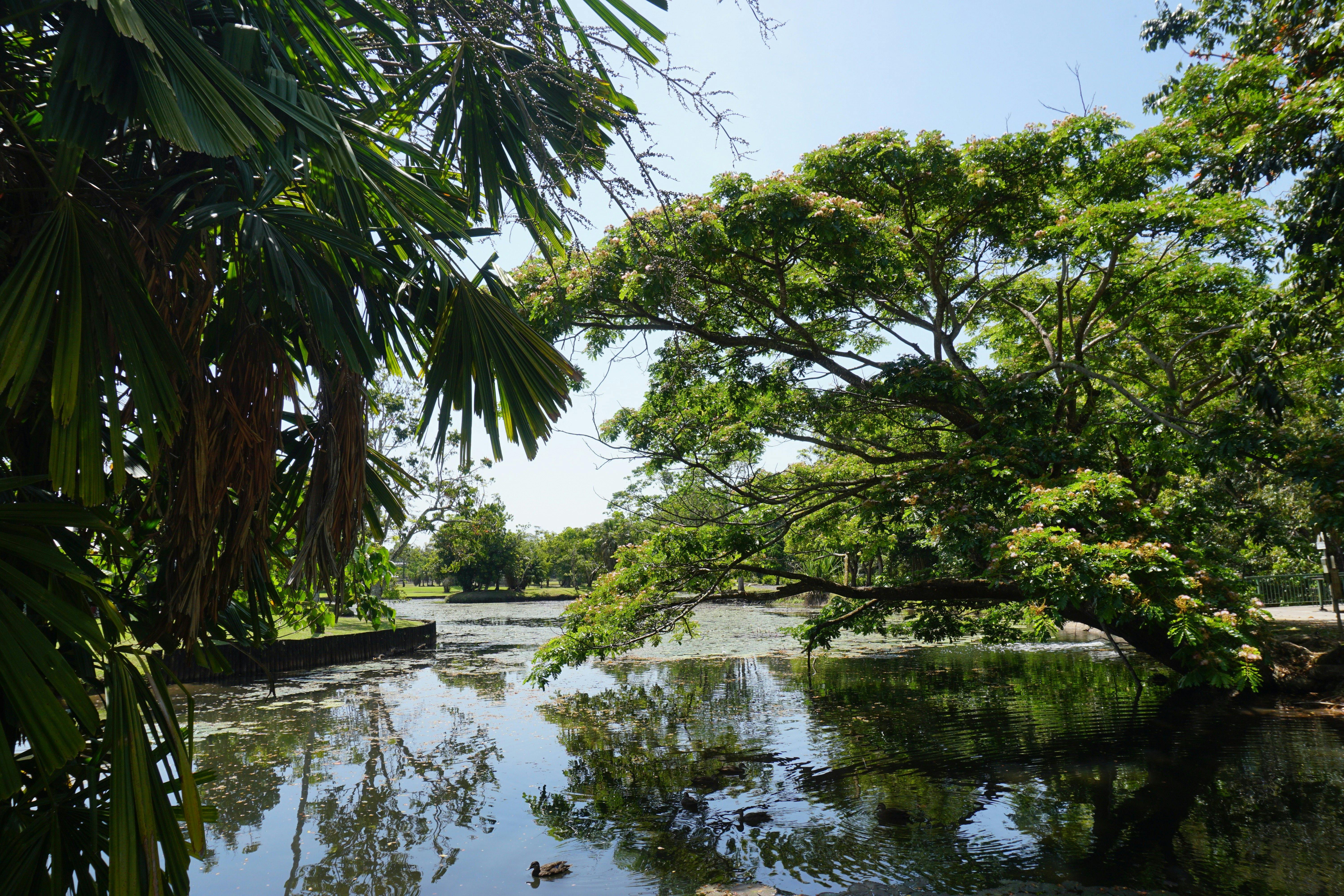 Innisfail Cassowary Coast Tropical North Queensland Australia