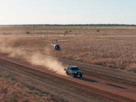 Helicopter mustering