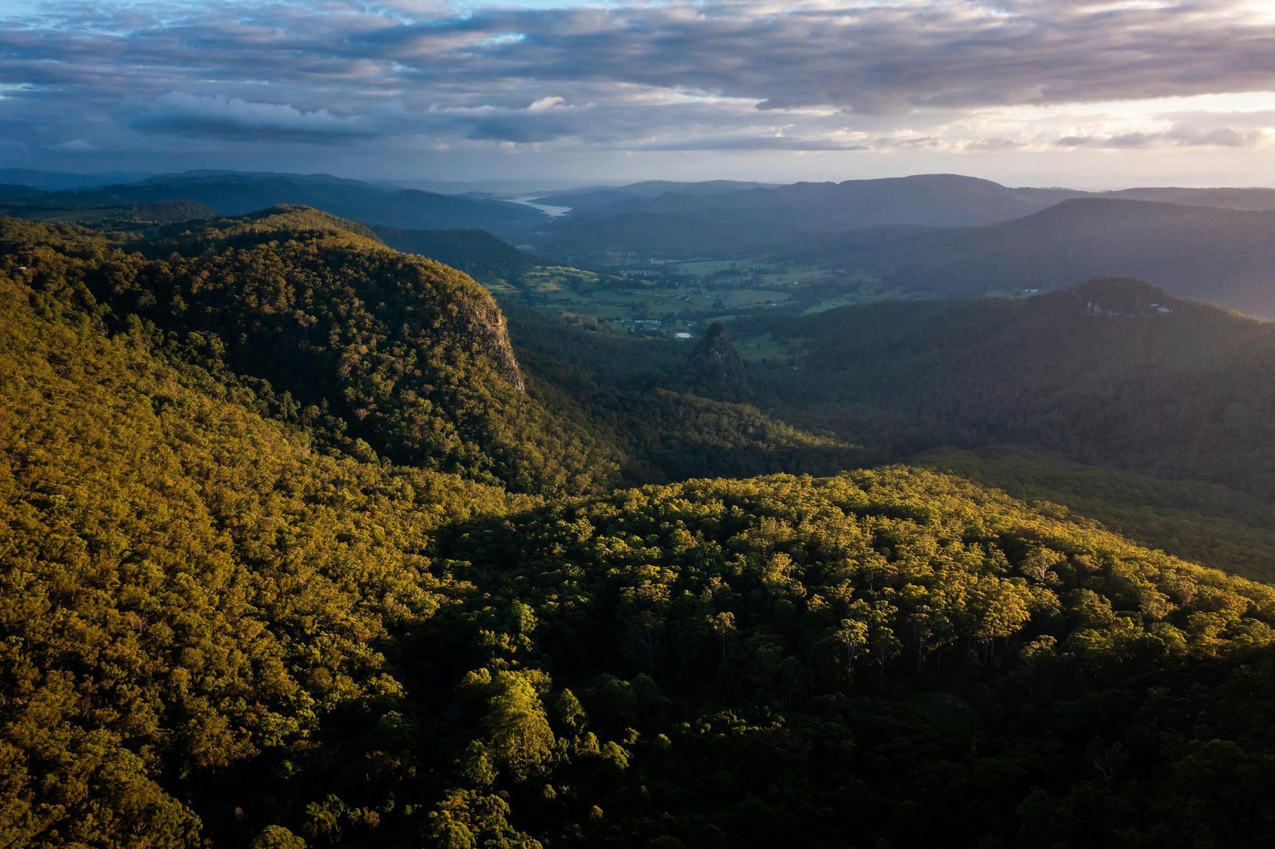 Gold Coast Hinterland Great Walk