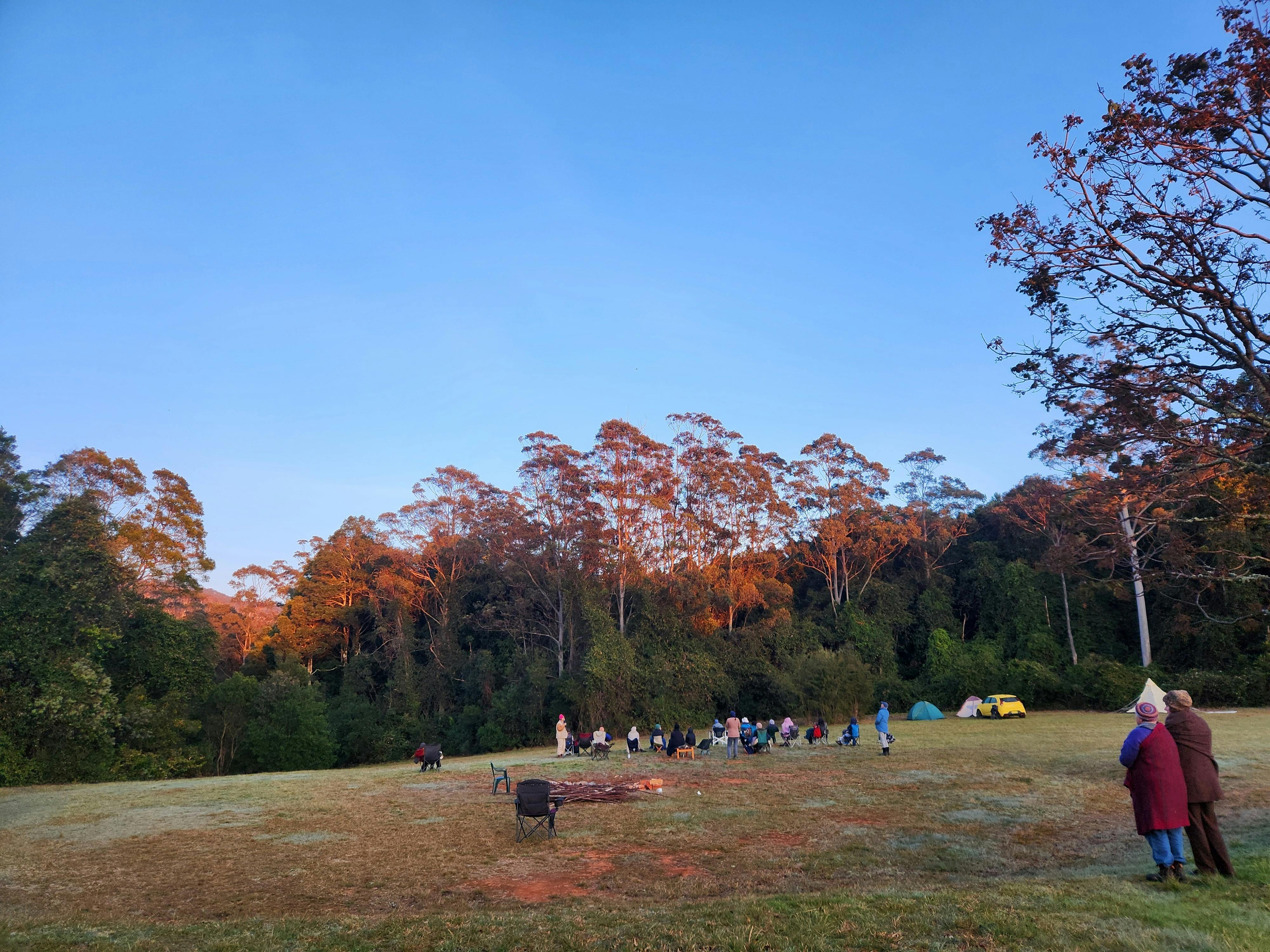 Forest Voices Bird Language Retreat