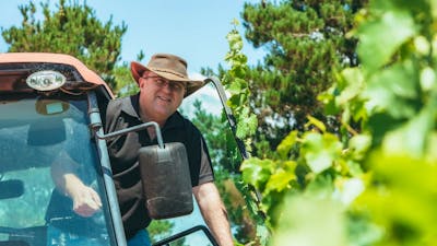 Vineyard 1207