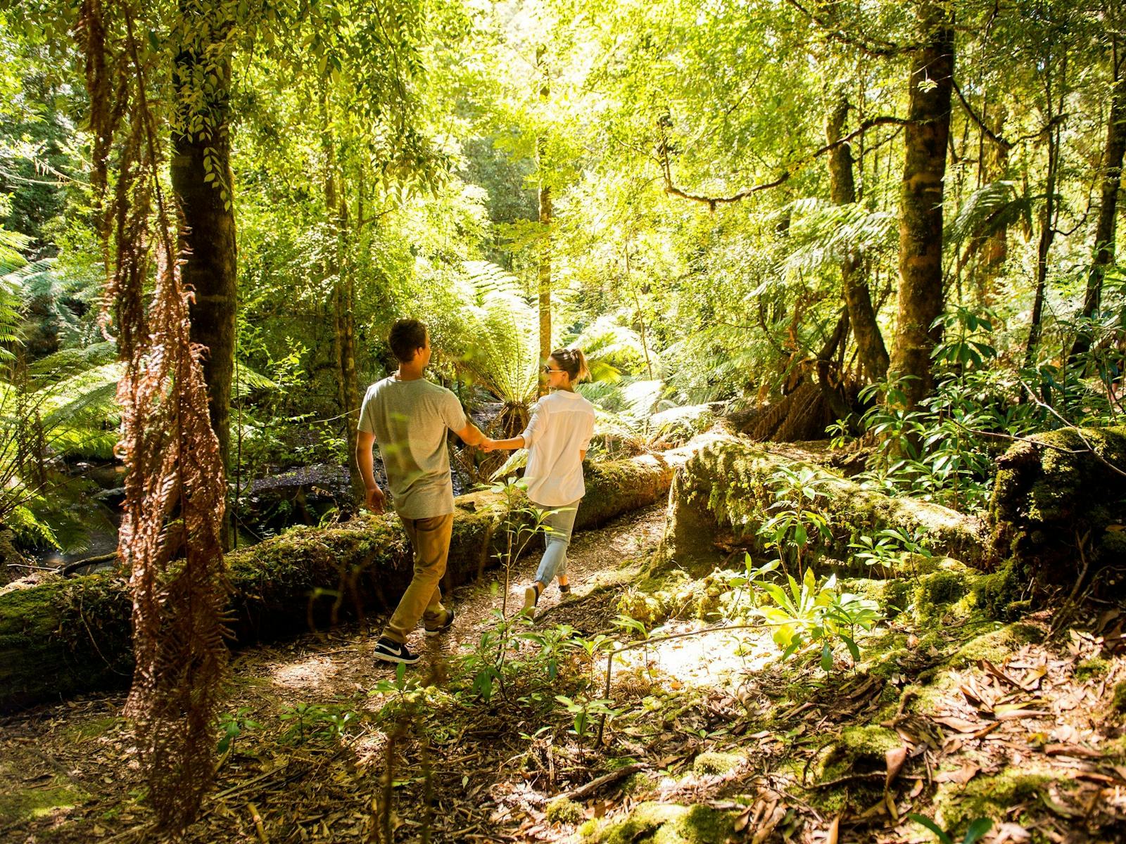 Couple walking along leaf littered track through the rainforest with woman smiling back at partner