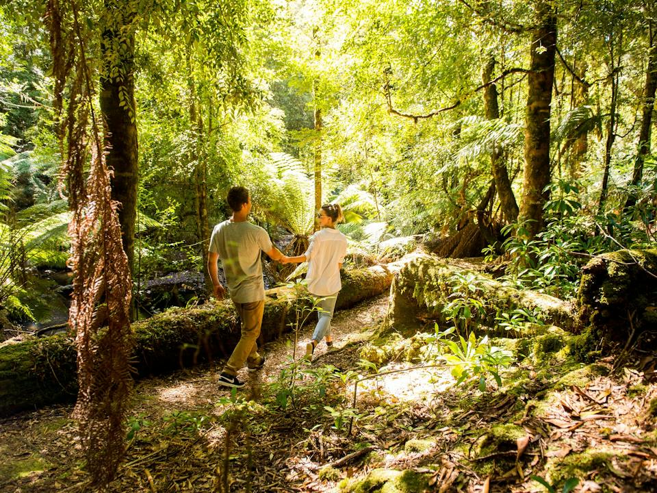 Tall Timbers Adventure Tours photo