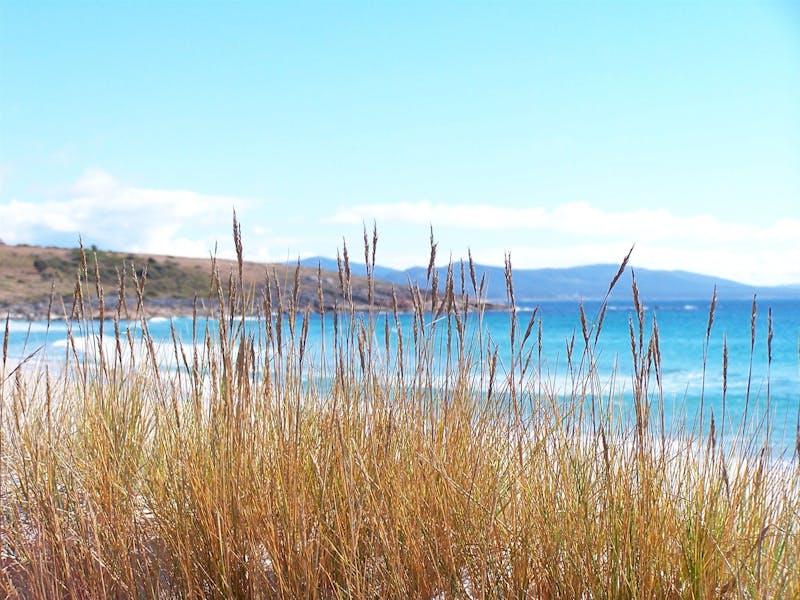 White Sands Estate Discover Tasmania
