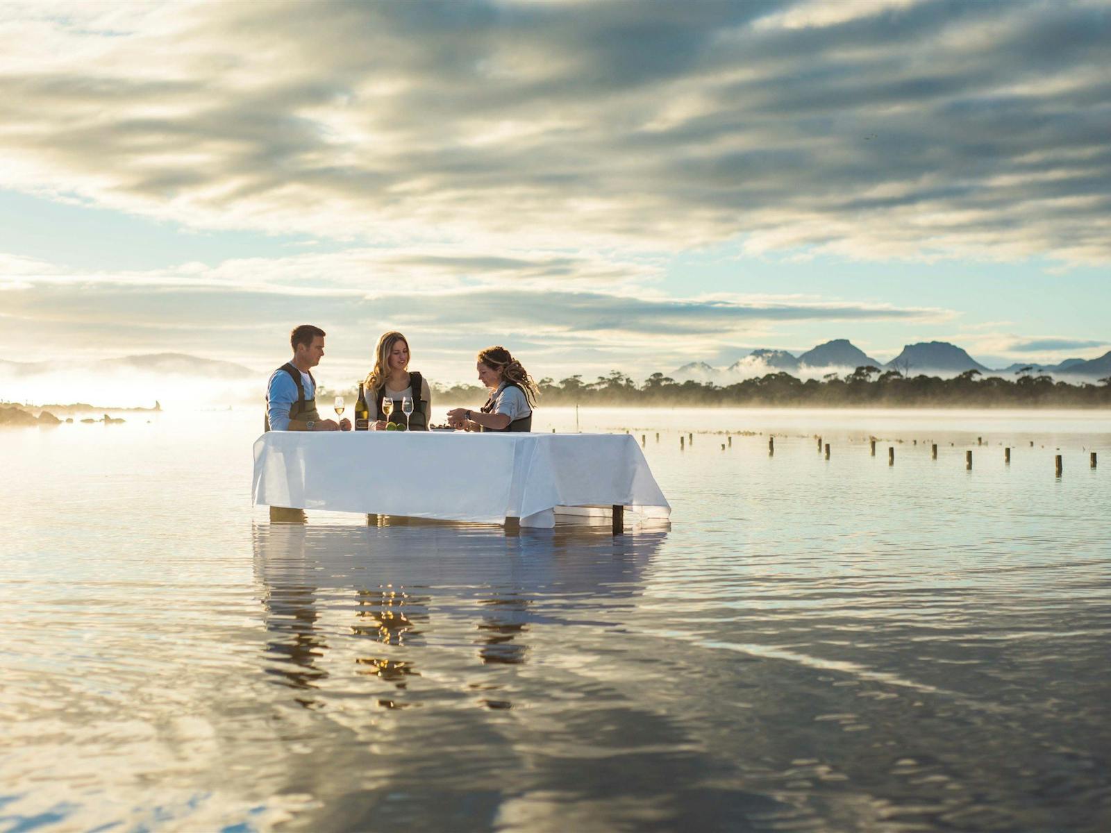 Oyster Experience