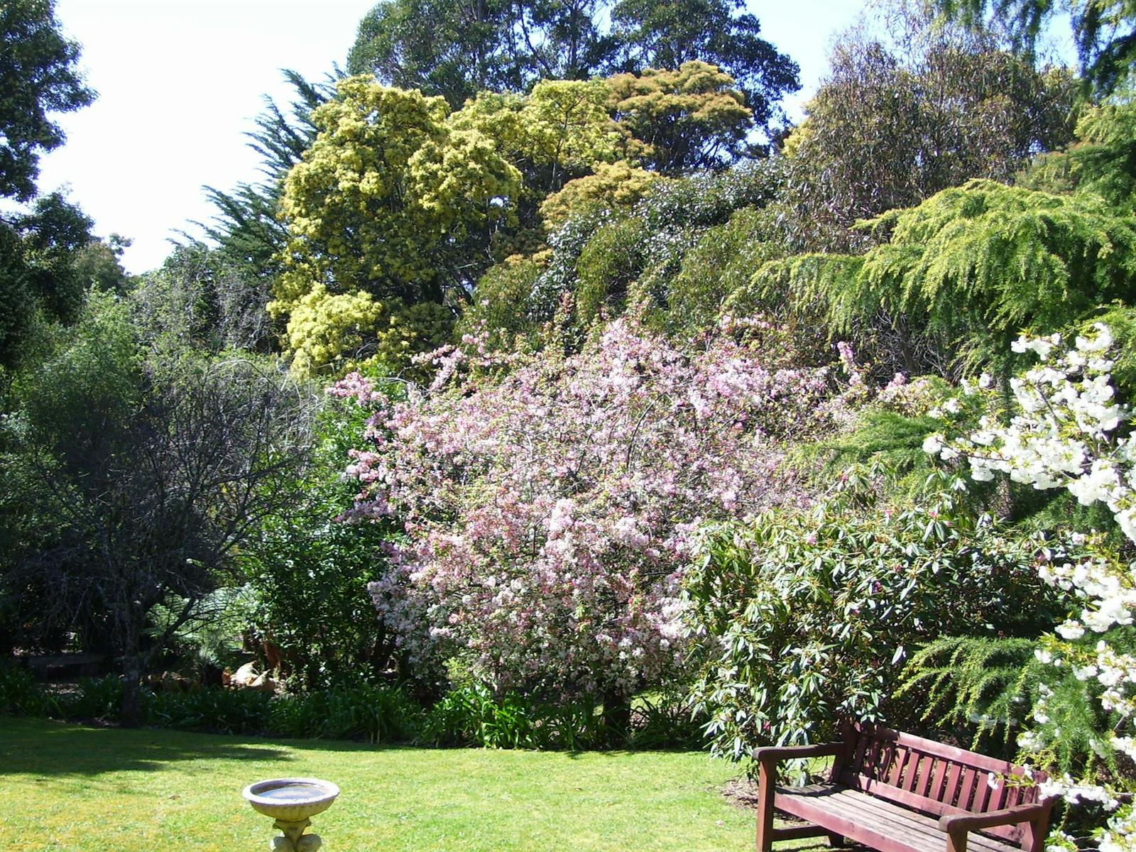 Donalea Gardens